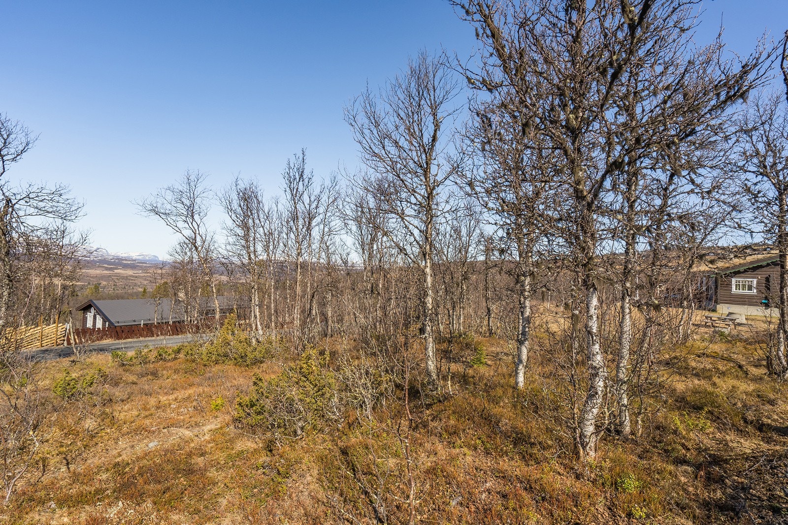 Om vinteren finner en flotte oppkjørte skiløyper ca. 100 m fra hyttetomta. Løypene er tilknyttet et stort løypenett på Vaset og Vestfjellene, så her kan alle få fine, opplevelsesrike turer i vakker natur både til Syndin og til Vaset. Galleribilde