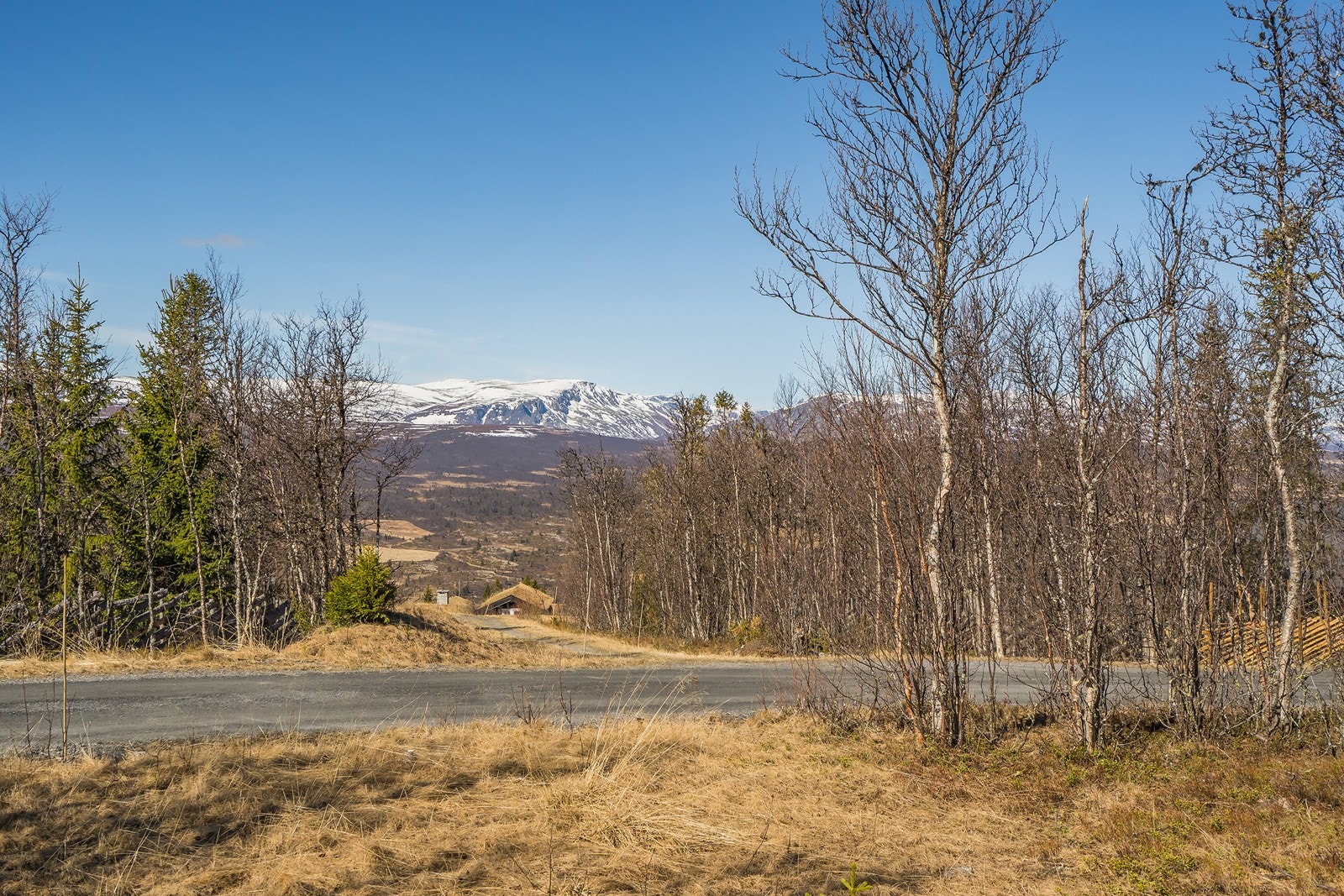Hyttetomta har lett helårs adkomst og gode solforhold. Galleribilde