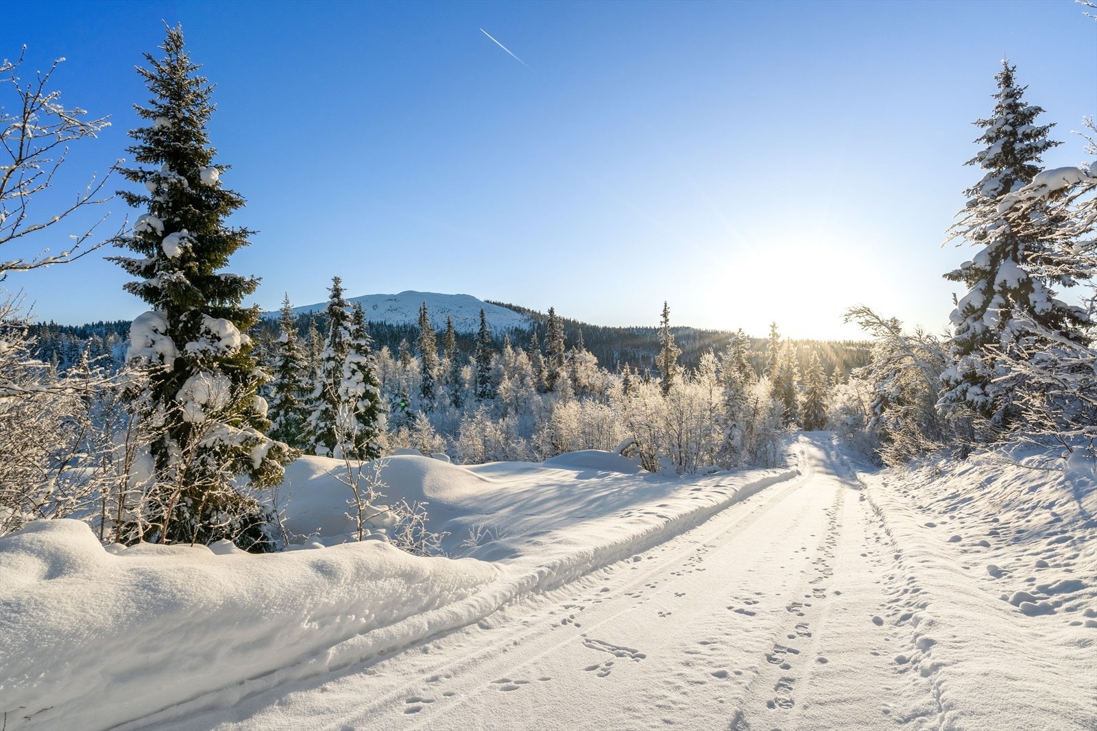 Dette er et snøsikkert område, så her er det enkelt å få den rette vinterstemningen! Galleribilde