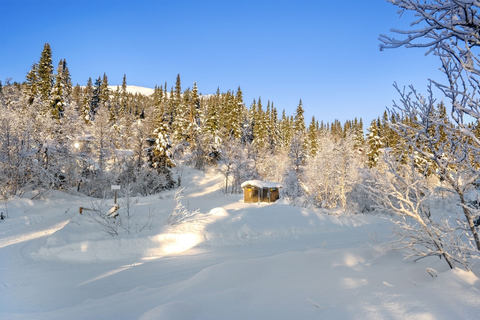 På Aurdalsåsen kjøres det opp milevis med flotte, velpreparerte skiløyper. Med skiløyper like i nærheten er det bare å spenne på seg skiene og ta turen ut i fint og variert familievennlig terreng. Galleribilde
