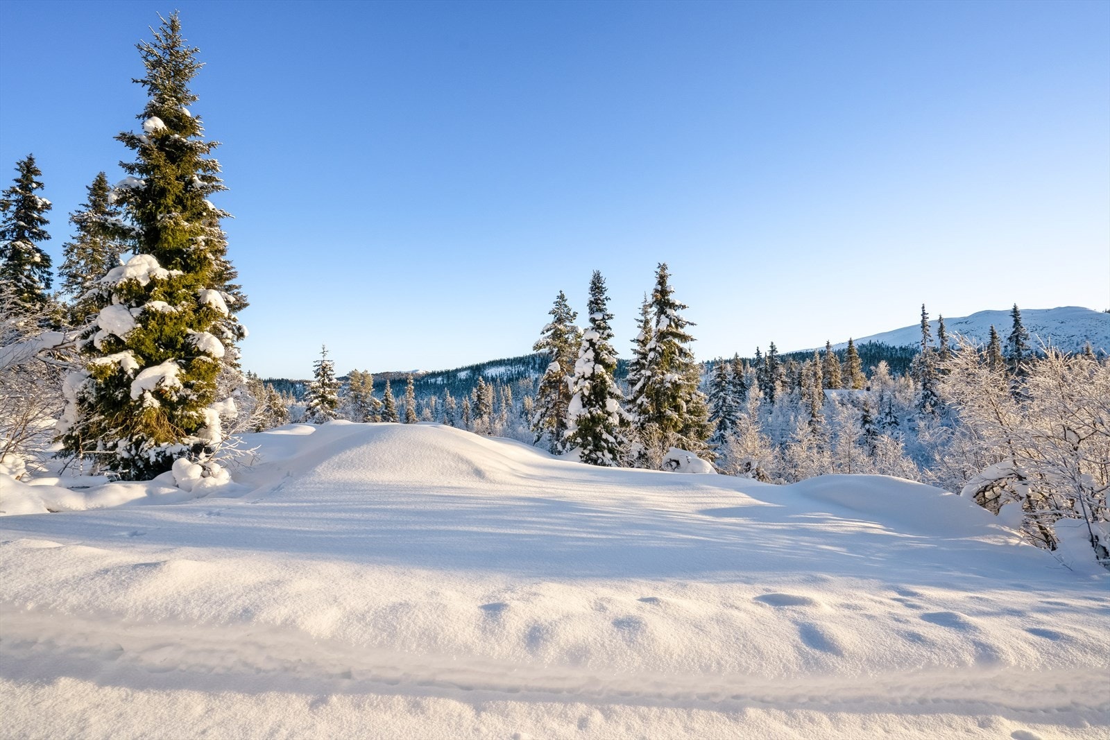 Hyttefeltet er lett tilgjengelig året rundt, så her kan en glede seg til gode dager på fjellet! Galleribilde