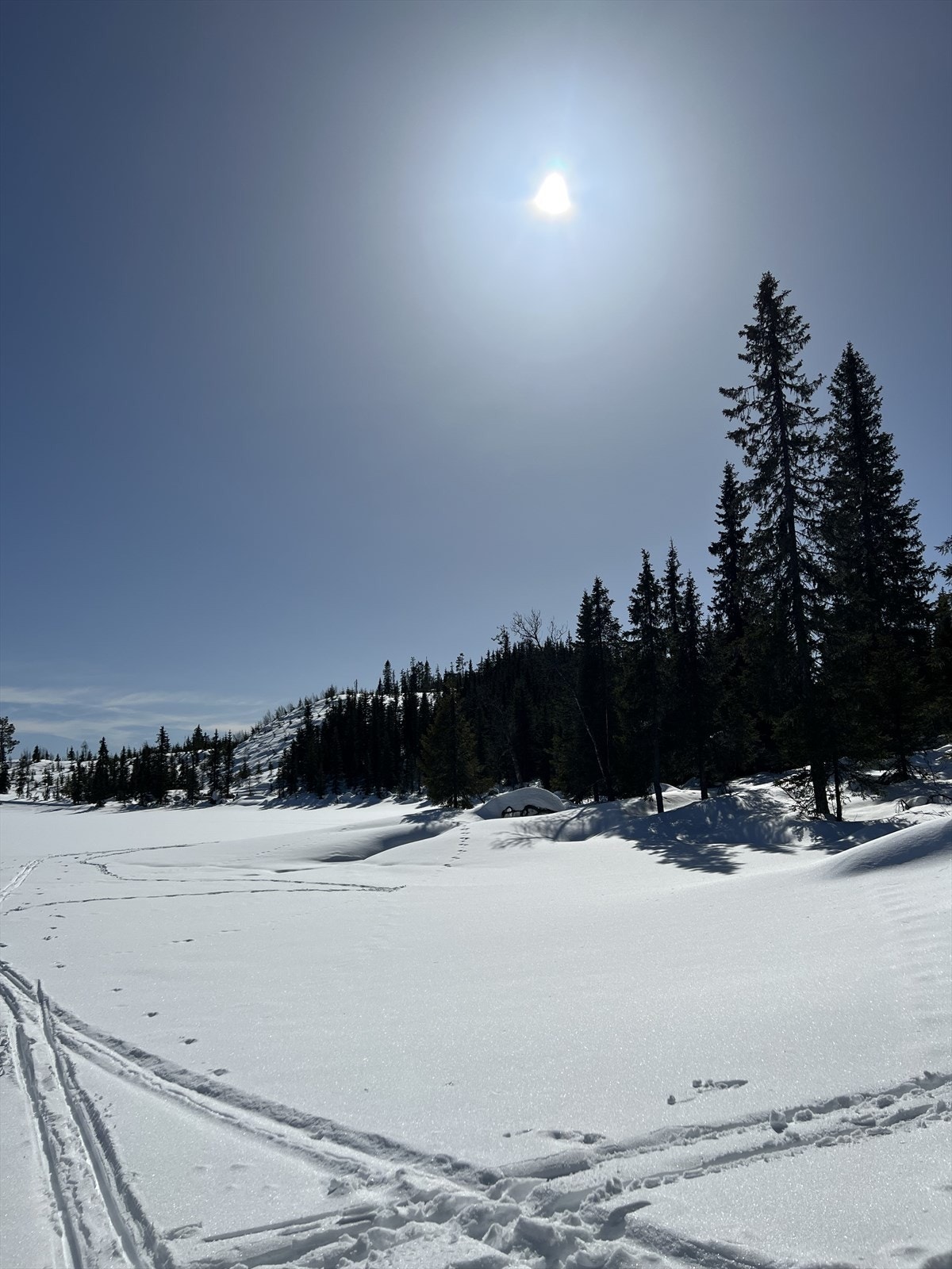 På Tonsåsen kan en også tråkke sine egne spor i uberørt natur. (Selgers foto) Galleribilde