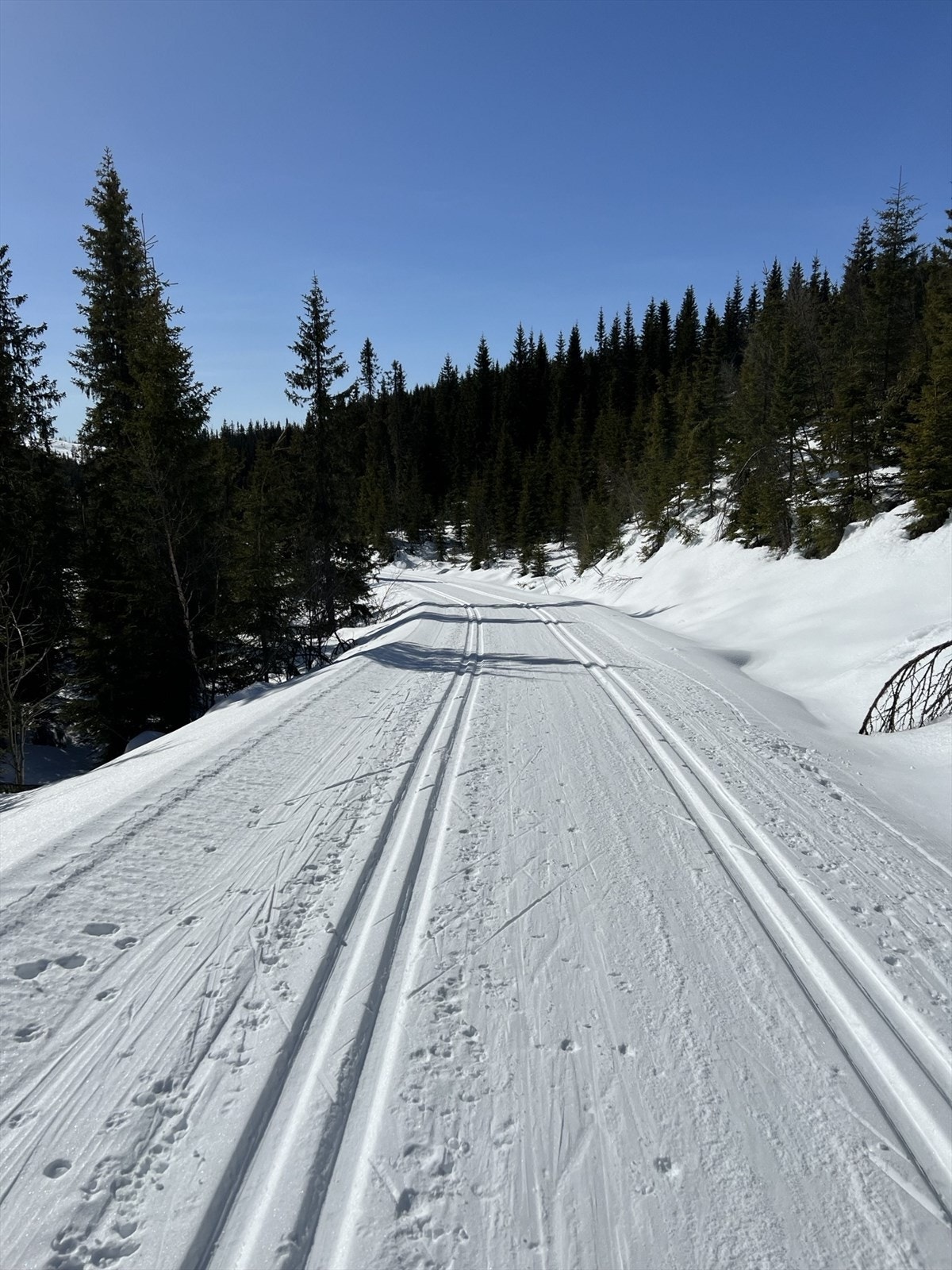 Som selges eget bilde viser er det fine skiløyper på Tonsåsen, og disse henger sammen med løypenett til Aurdalsåsen og videre til Beitostølen. Galleribilde