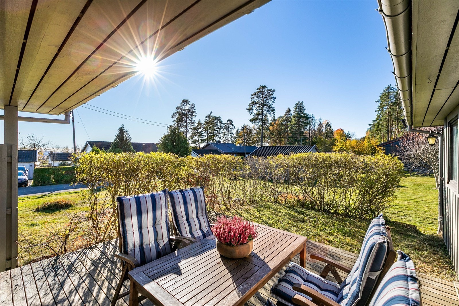 Solforholdene er upåklagelige, sommerstid fra morgen til kveld. Galleribilde