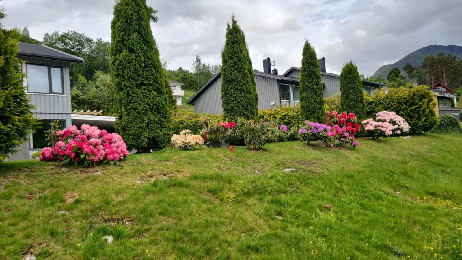 Uteareal. Bilde fra selger. Galleribilde