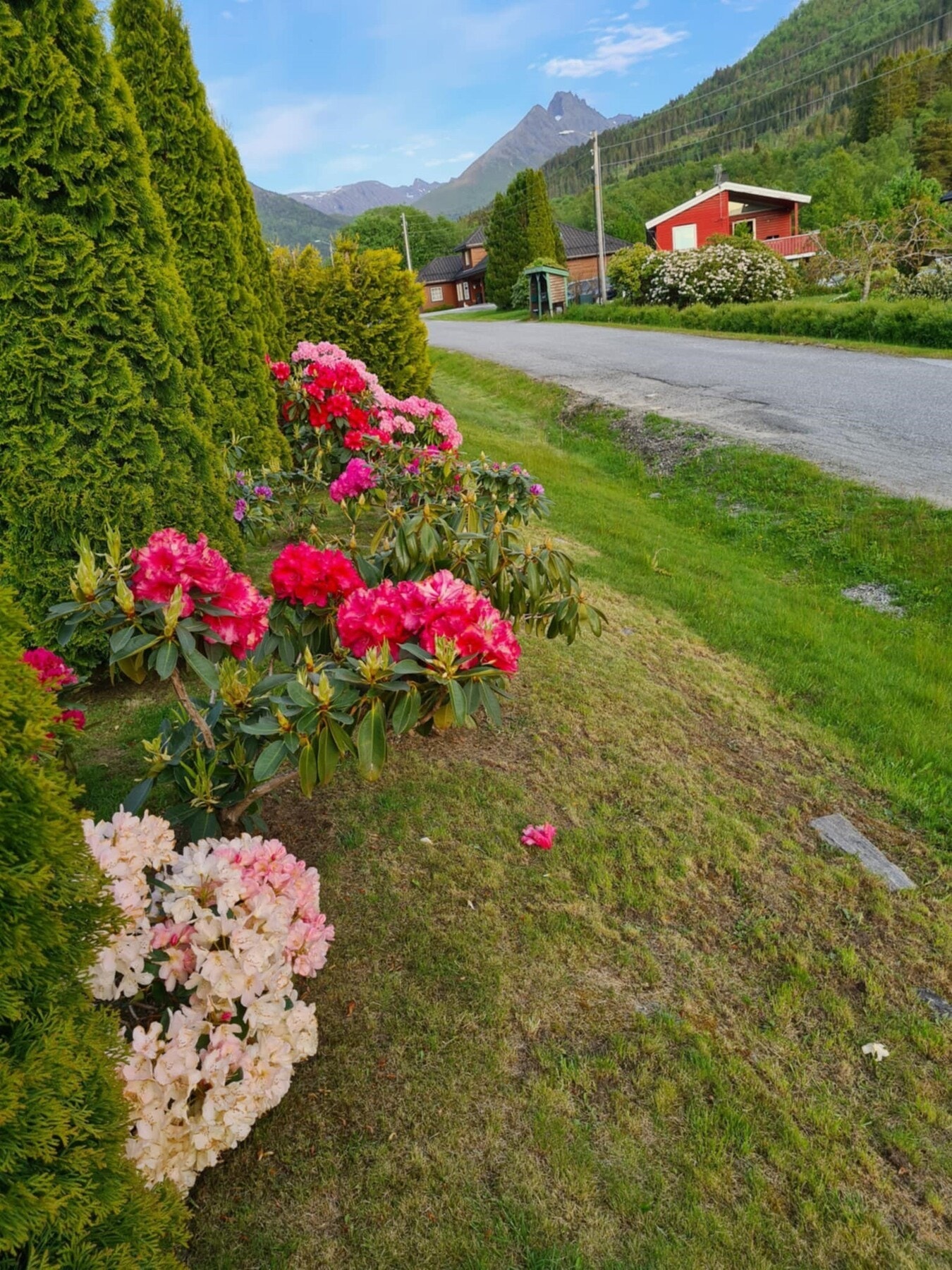 Uteareal. Bilde fra selger. Galleribilde