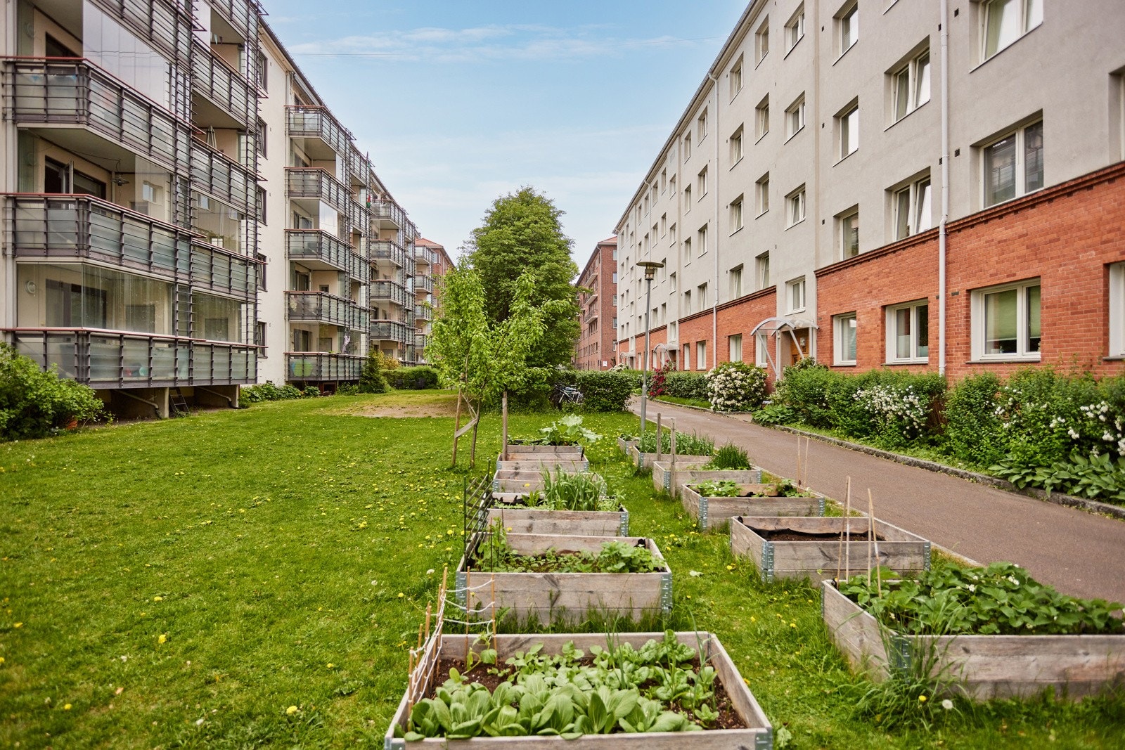 (arkivbilde) Galleribilde