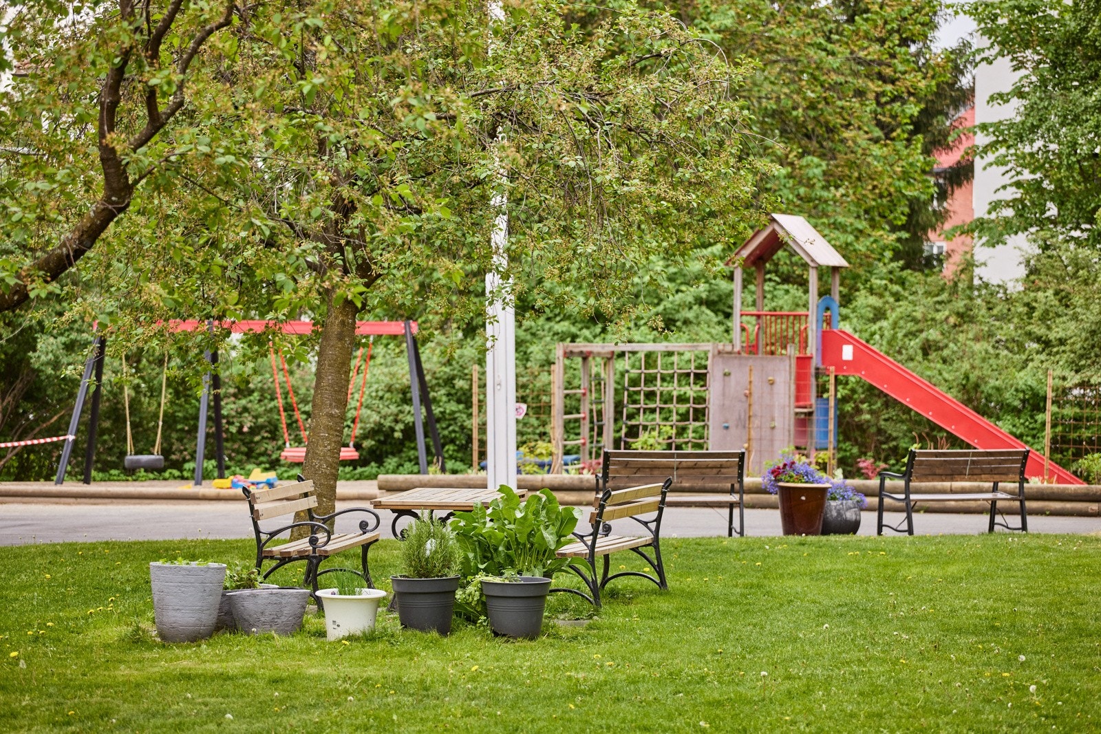 (arkivbilde) Galleribilde