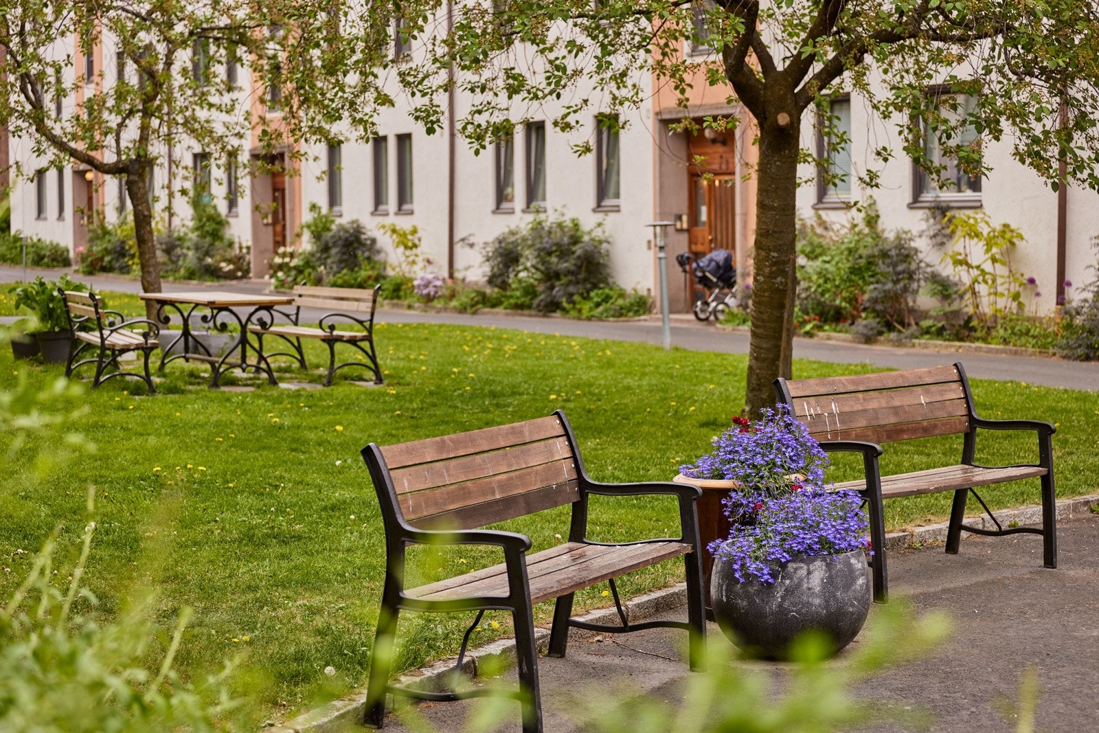 (arkivbilde) Galleribilde