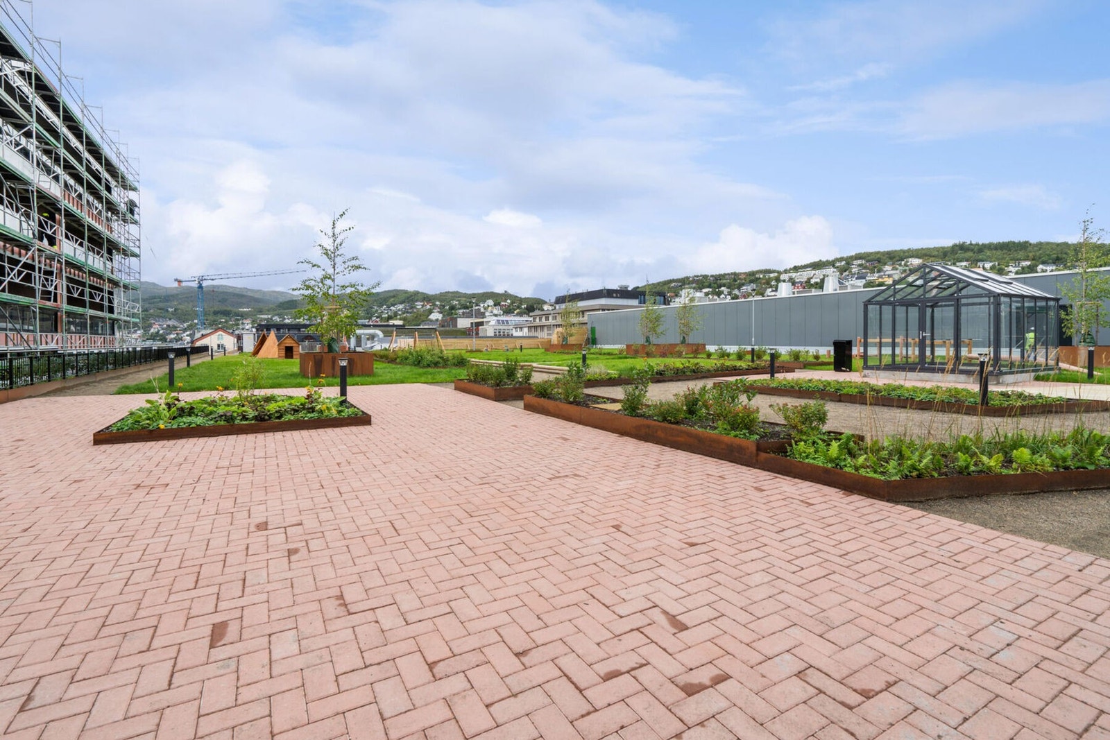 Du kan dyrke dine egne grønnsaker, blomster m.m. Galleribilde