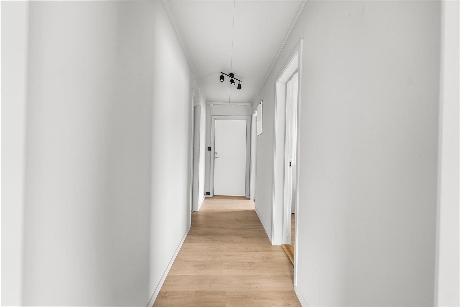 Entré og gang. Galleribilde