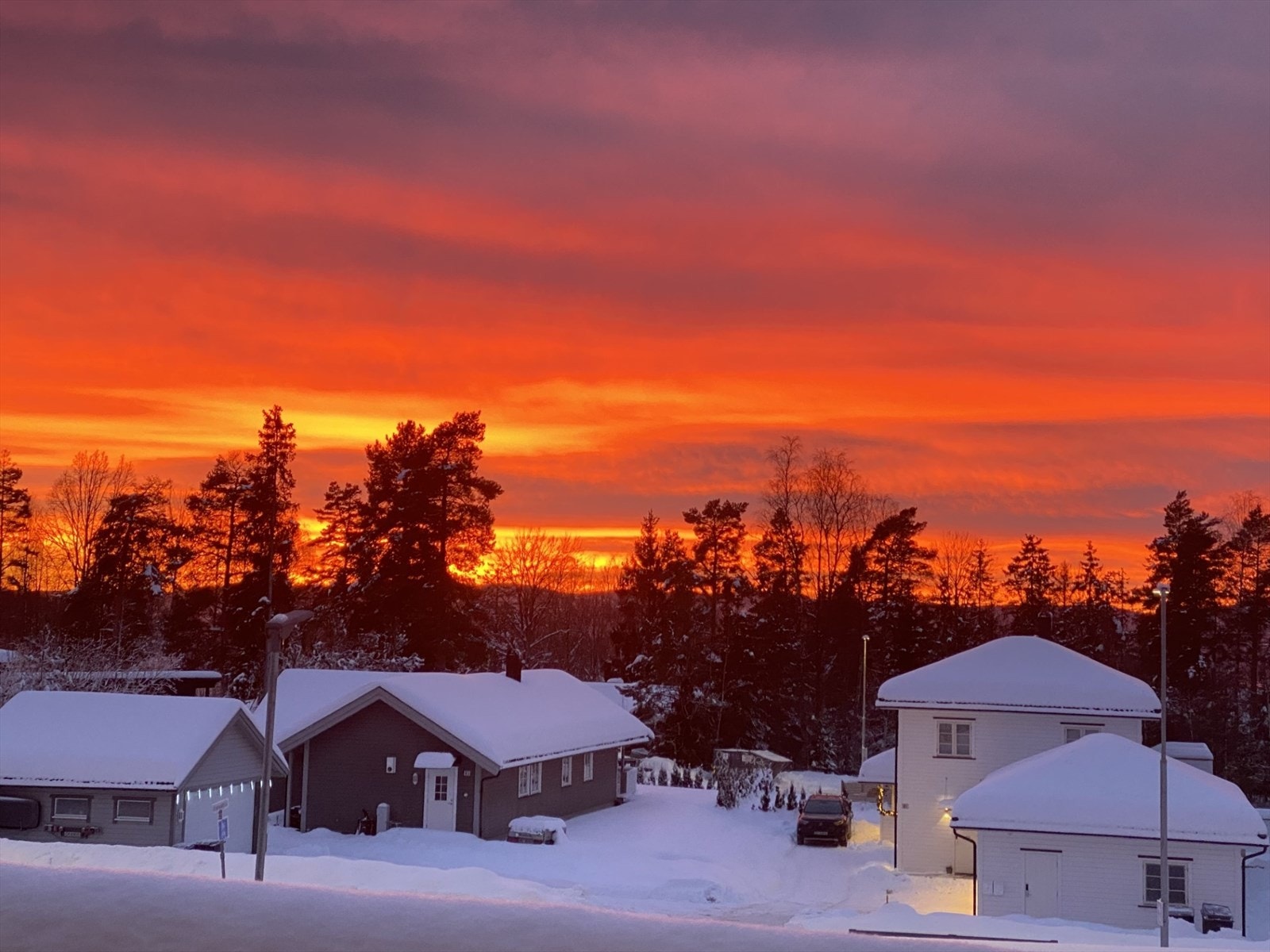 Privat bilde. Galleribilde