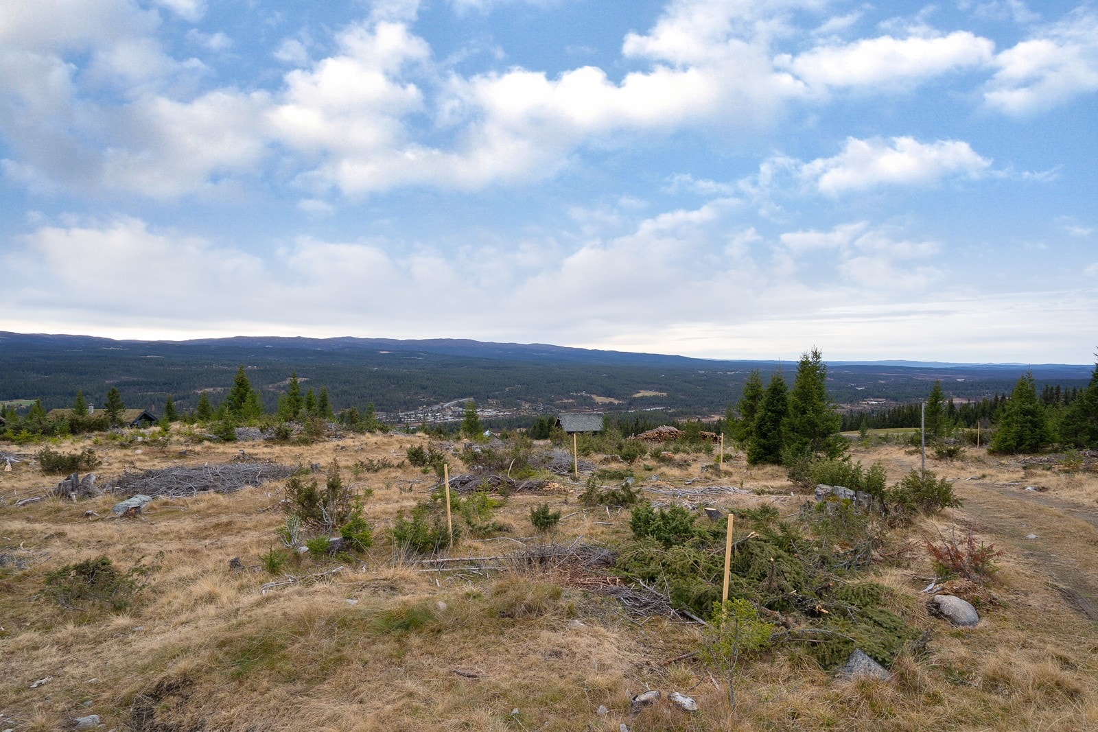 Ihht reguleringsbestemmelser er tillatt BYA 186 m2 pr. enhet/tomt, hvorav 36 m² skal brukes til parkering. Det kan bygges hovedhytte, anneks og uthus/garasje. Anneks og uthus/garasje skal hver for seg ikke være over 40 m². Galleribilde