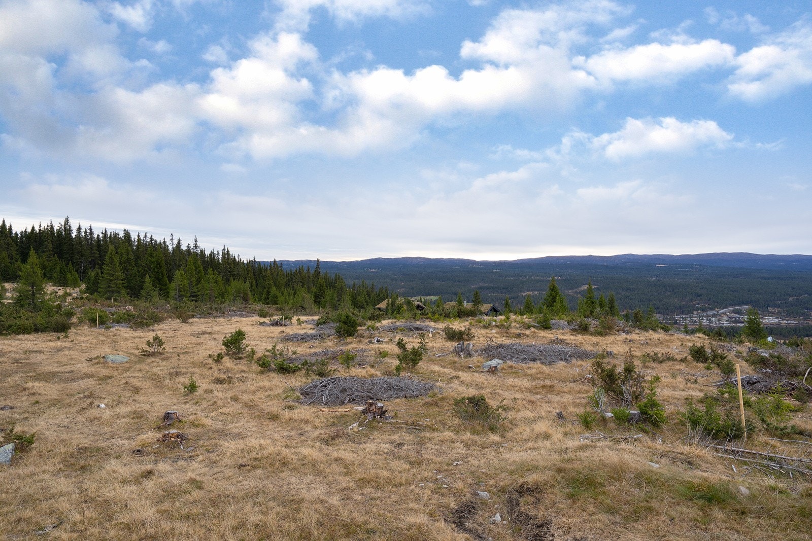 Tomtene ligger solrikt til i svakt hellende terreng. Galleribilde