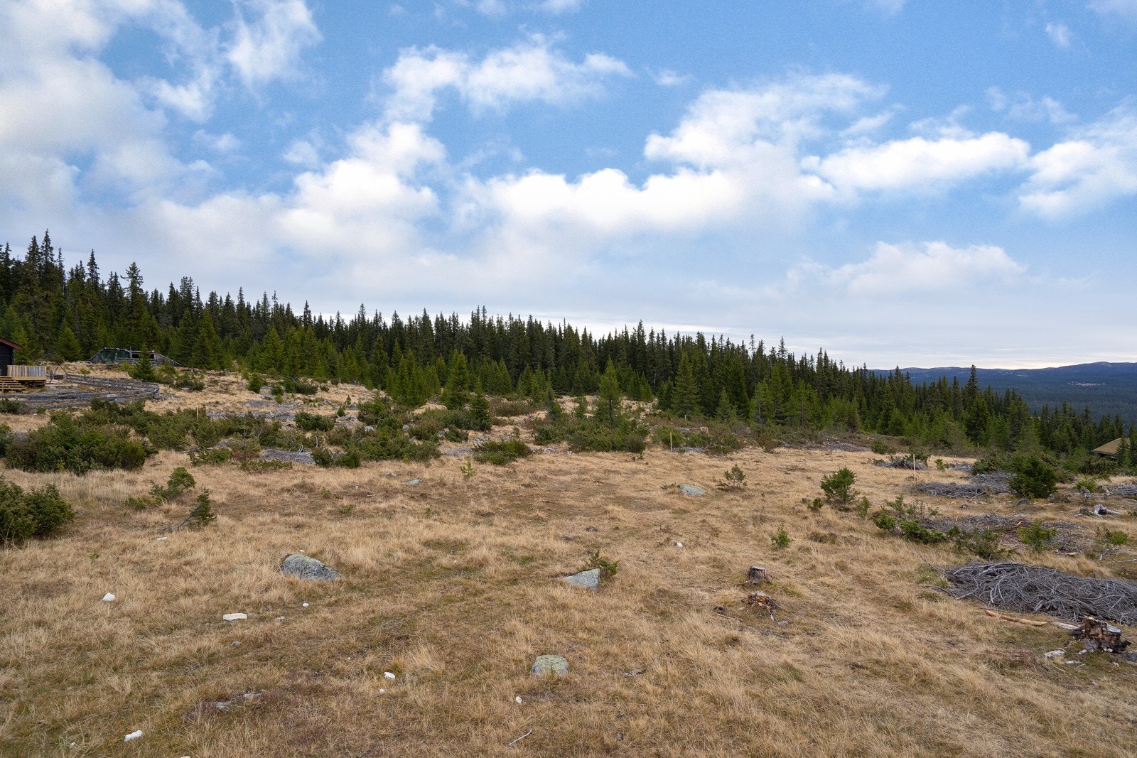 De fleste av tomtene skal skilles ut fra gnr. 79 bnr. 6. Oppmålingsgebyr bekostes av selger. Galleribilde