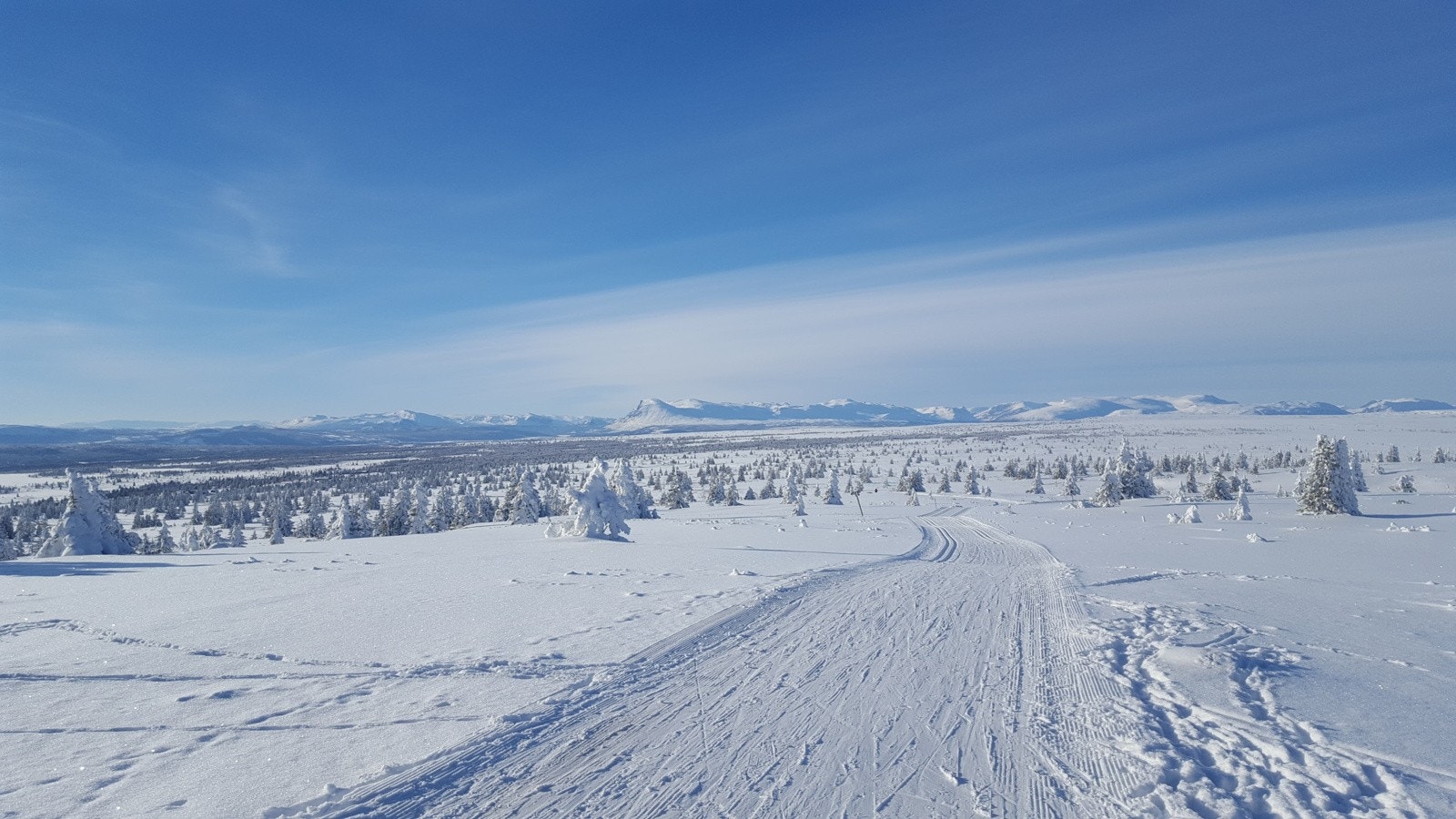 Ta gjerne turen til Gribbe (1.057 moh), rundt Haugsetfjellet (1.152 moh), eller opp på Nystølvarden (1.296 moh) som er områdets høyeste fjell. Galleribilde
