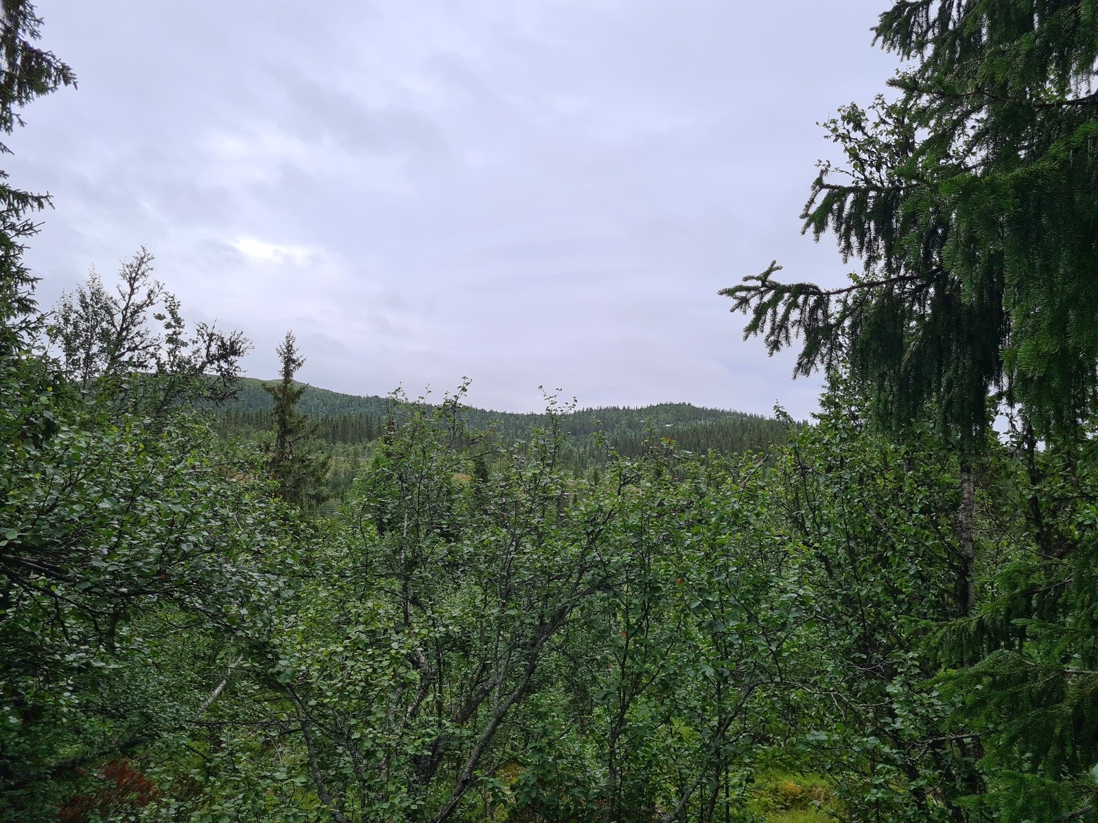 Ihht reguleringsbestemmerlser kan det oppføres hytte, anneks og uthus på tomtene. Galleribilde