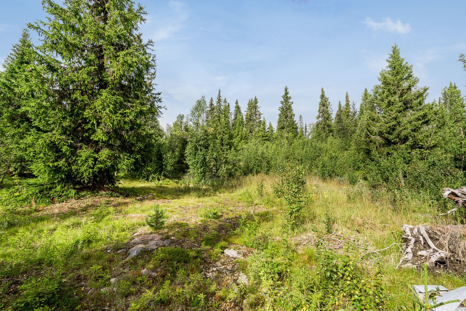 Stømtilkobling er også betalt. Galleribilde