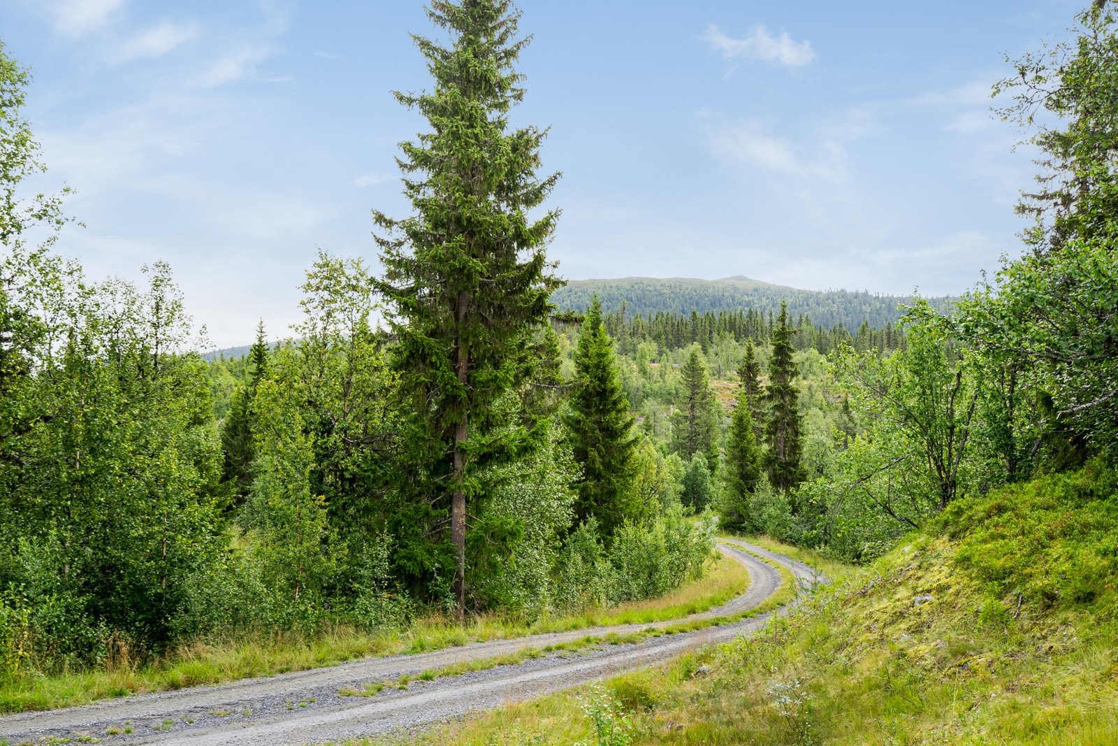 Hyttetomtene ligger inn forbi Damtjern og Aurdal Fjellkirke, i et område med spredt hyttebebyggelse. Galleribilde
