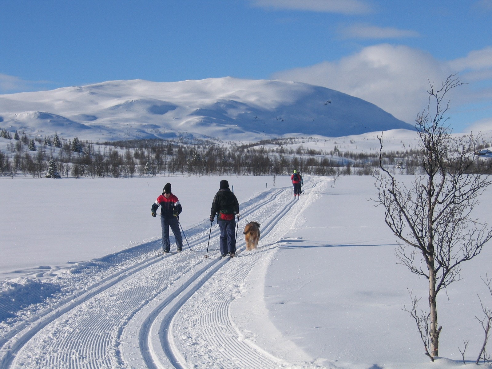 Løypenettet henger sammen med flere andre løypenett, bla. mot Tisleidalen og Syndin. Galleribilde