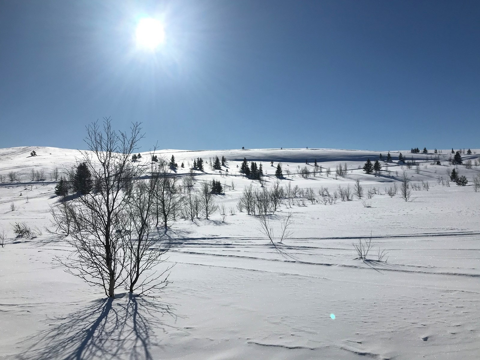 Vaset byr på nydelig natur med flotte oppkjørte skiløyper, de fleste med skøytetrasé. Men en kan også tråkke sine egen spor i urørt natur. Galleribilde