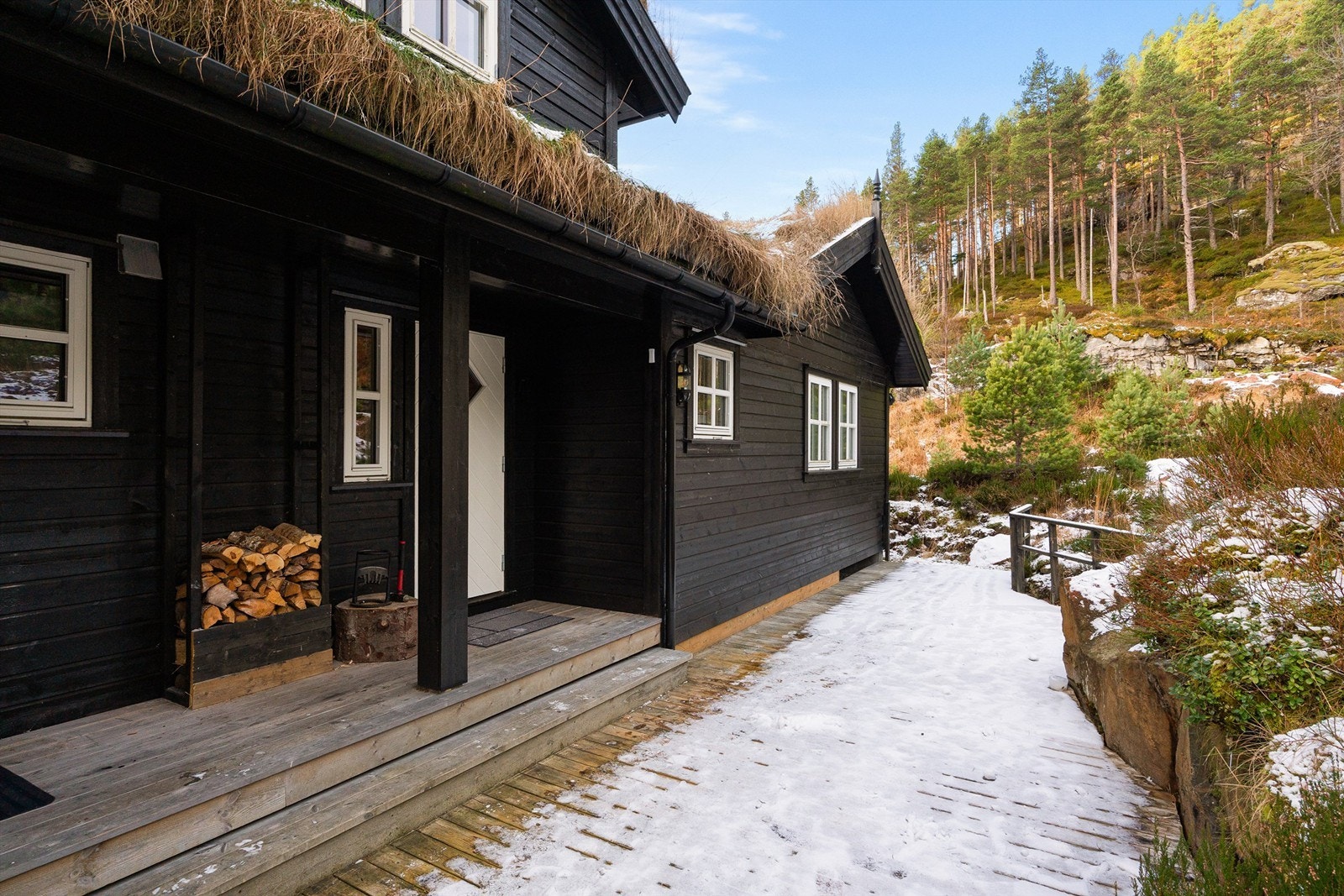 Inngangsparti. Galleribilde