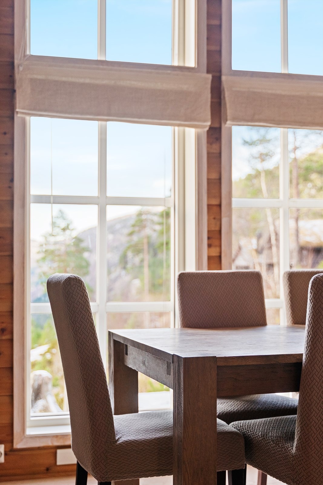 Store vindusflater slipper naturen inn i stuen. Galleribilde