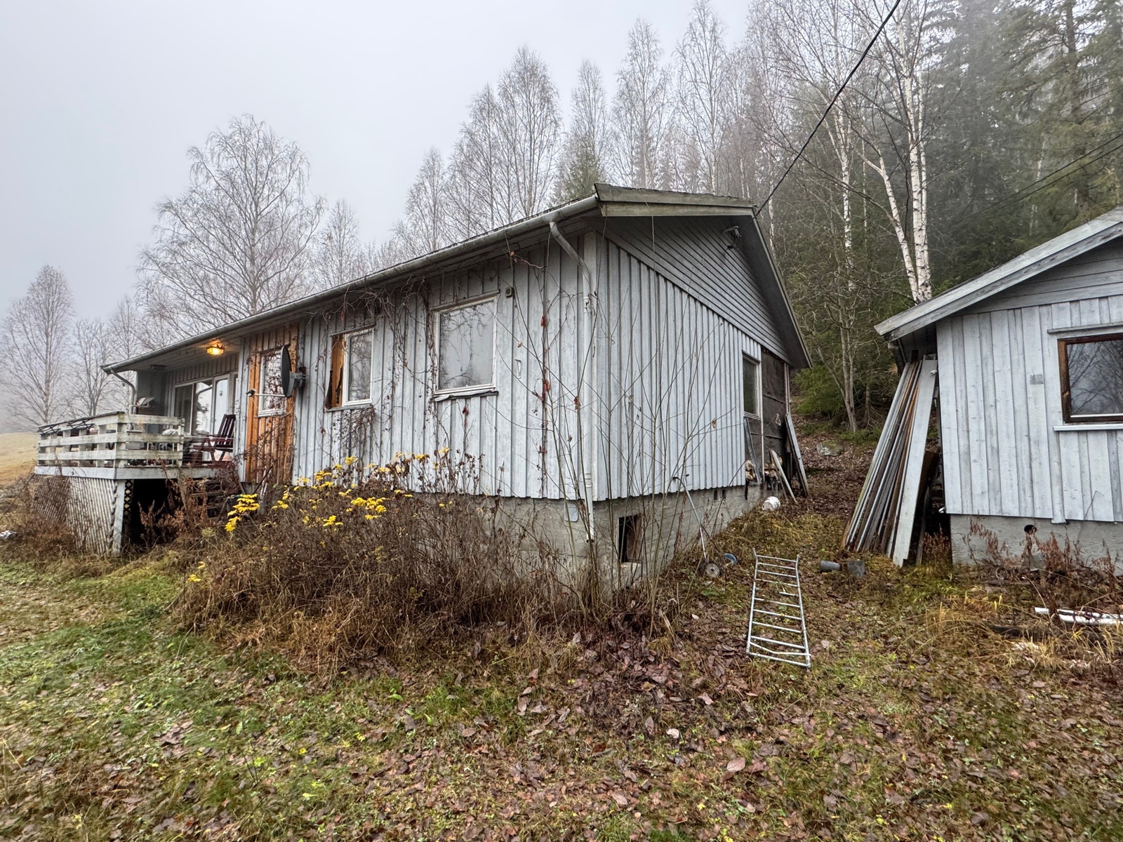 Velkommen til Tuppeskogvegen 305 Galleribilde