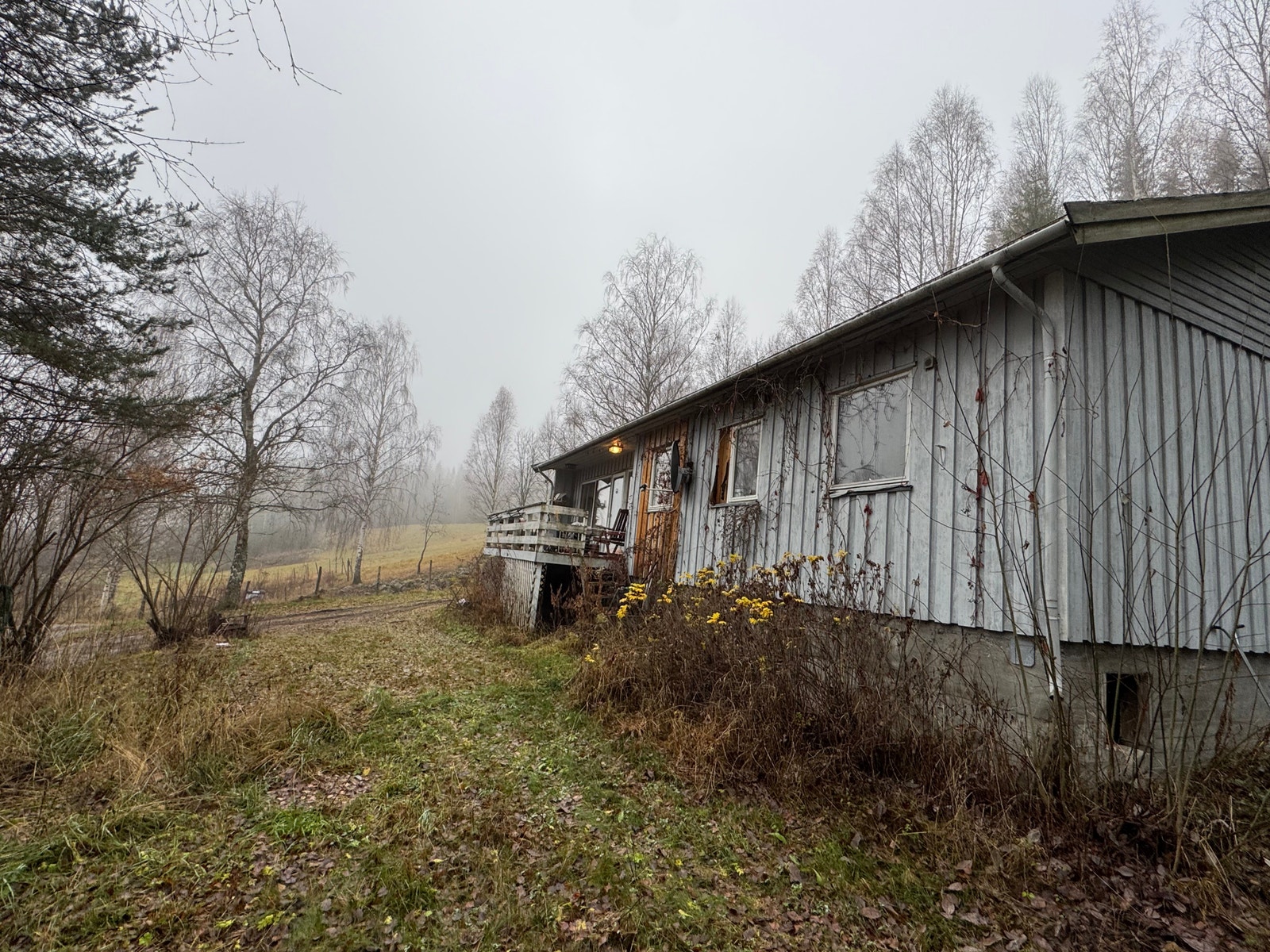 Velkommen til visning Galleribilde