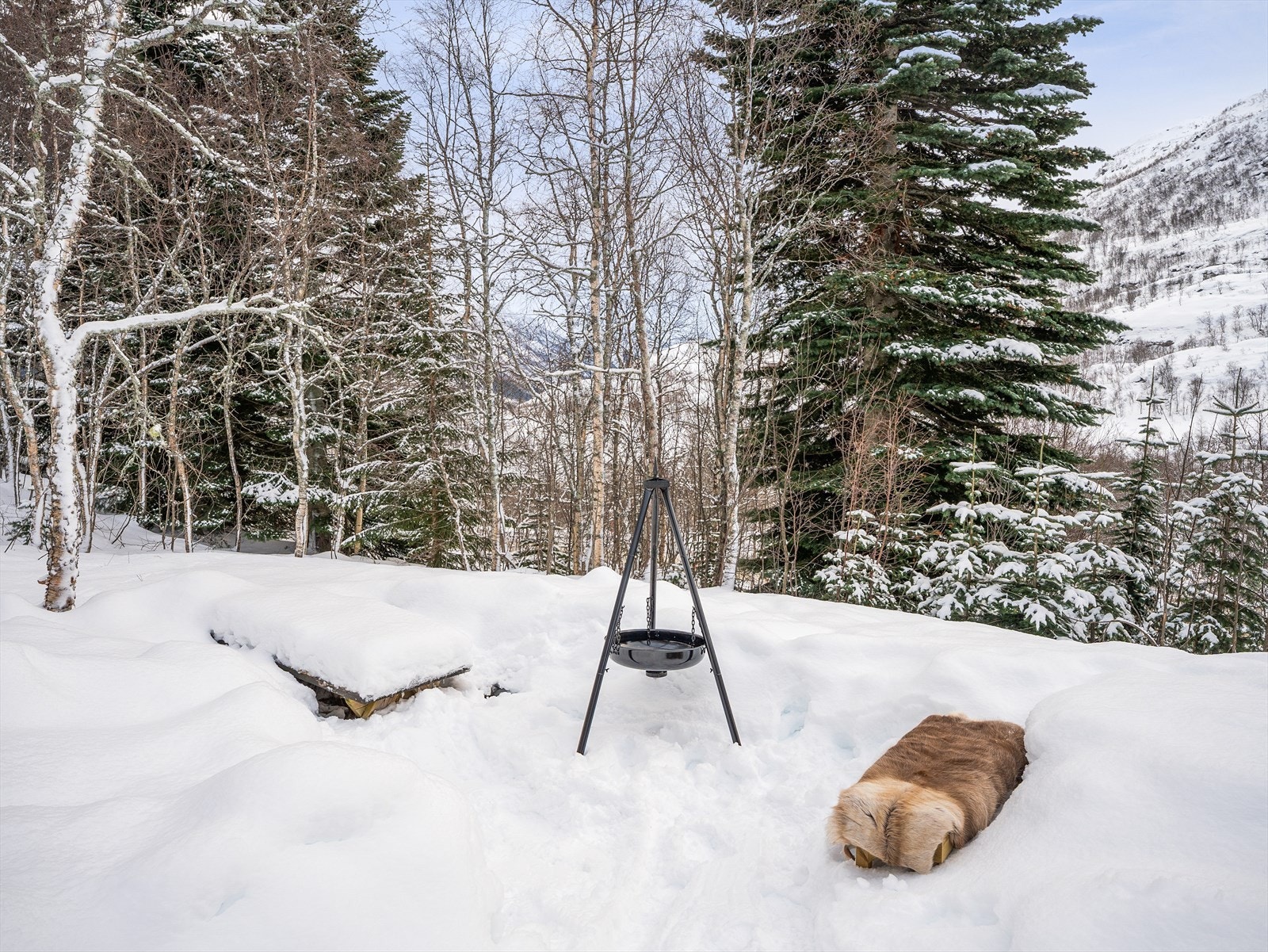 Stor tomt på 1 323,7 m2 med mulighet for flere flotte uteplasser Galleribilde