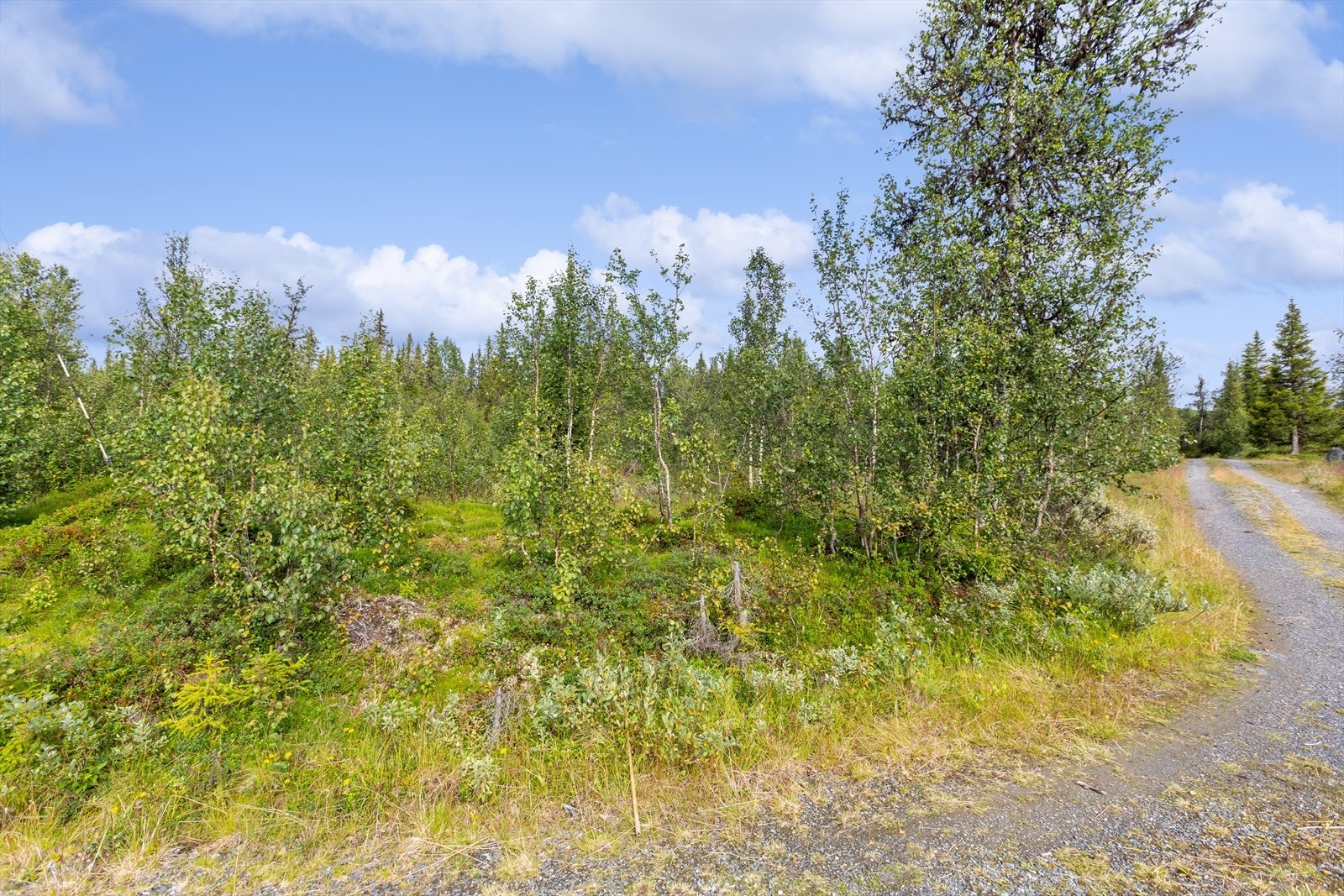 Turmulighetene er mange uansett årstid. For den som liker alpint er det om lag 4,4 km til Valdres Alpinsenter. Galleribilde