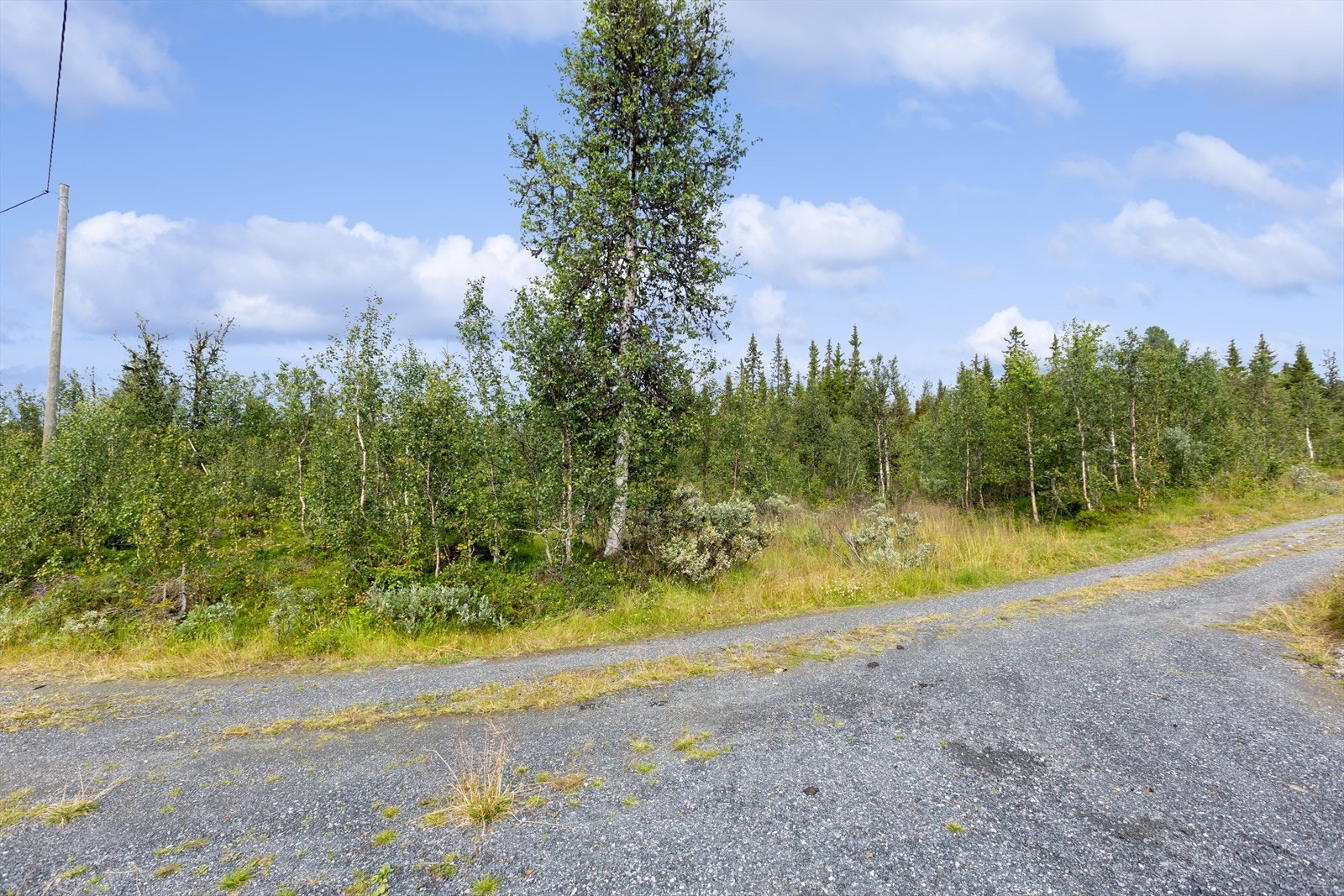 Eiendommen har grei adkomst med sommer og vintervei helt frem. Galleribilde