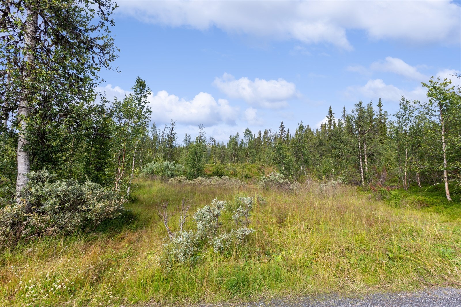 Det er strøm og vei i tomtegrensen, men det er ikke noen form for vann eller avløpssystem. Galleribilde