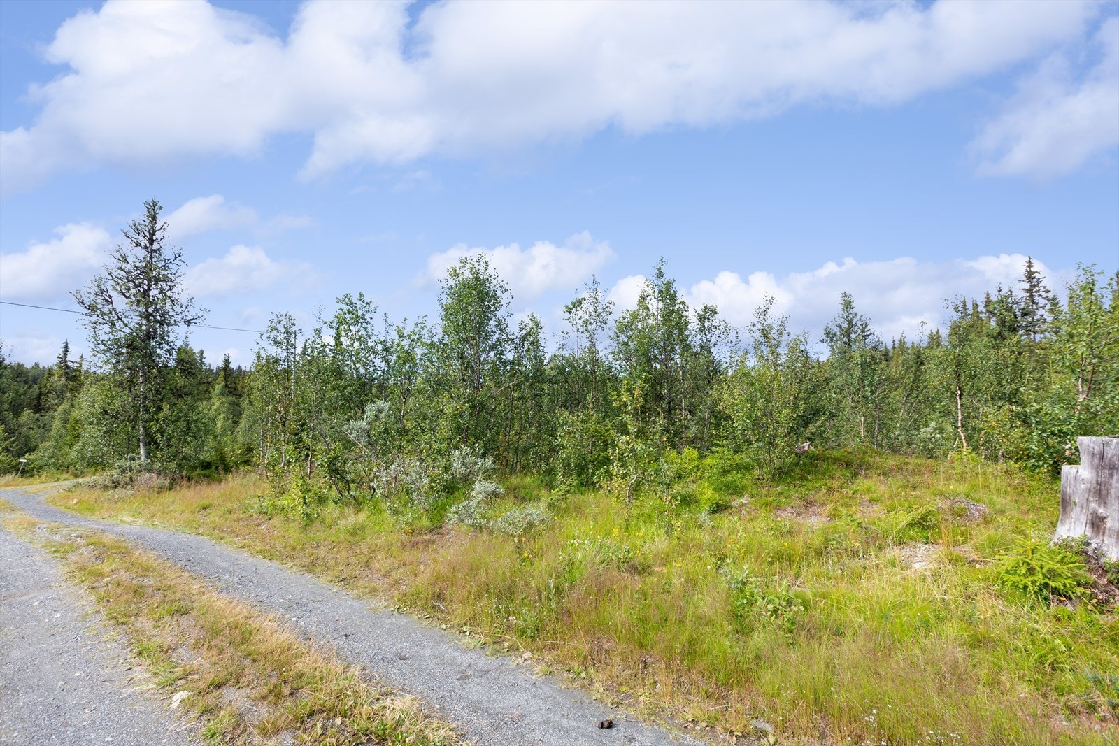Terrenget på Aurdalsåsen er flott til fot- og sykkelturer, og det finnes merkede stier opp til flere fjelltopper og varder. Binnhovdsknatten og Bjørgovarden er vakre turmål sommer som vinter. Galleribilde