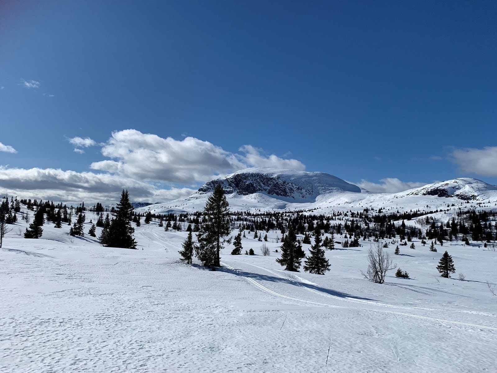 (Selgers private bilde) Galleribilde