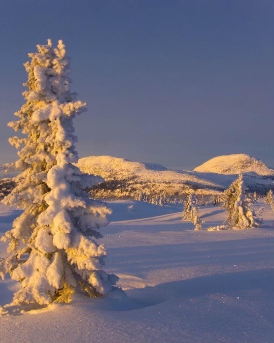 (Selgers private bilde) Galleribilde