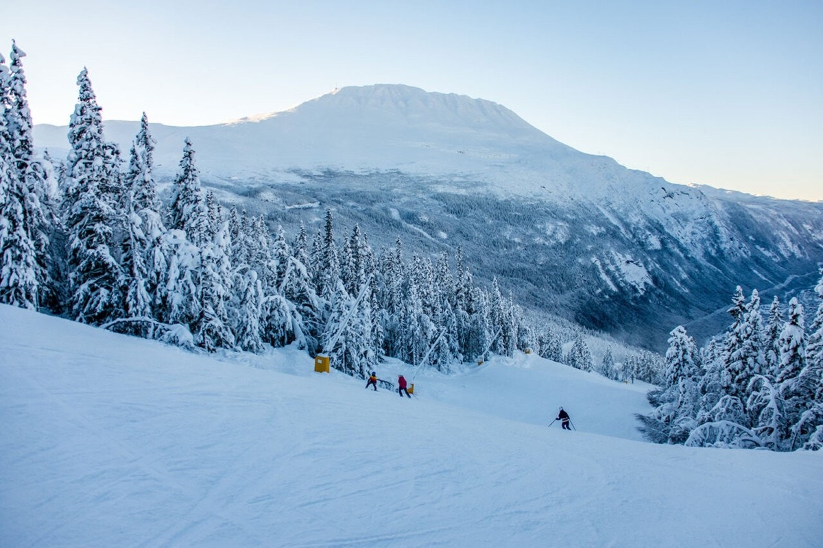 Bilde fra aplinbakken. Galleribilde