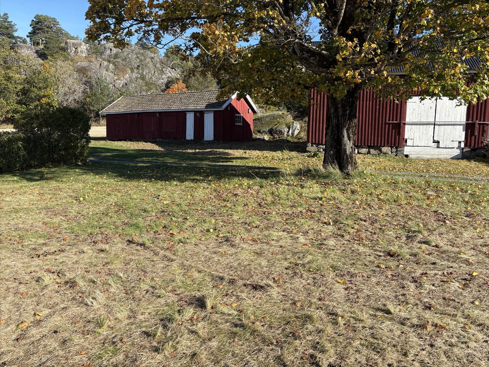 Selgers eget bilde. Galleribilde