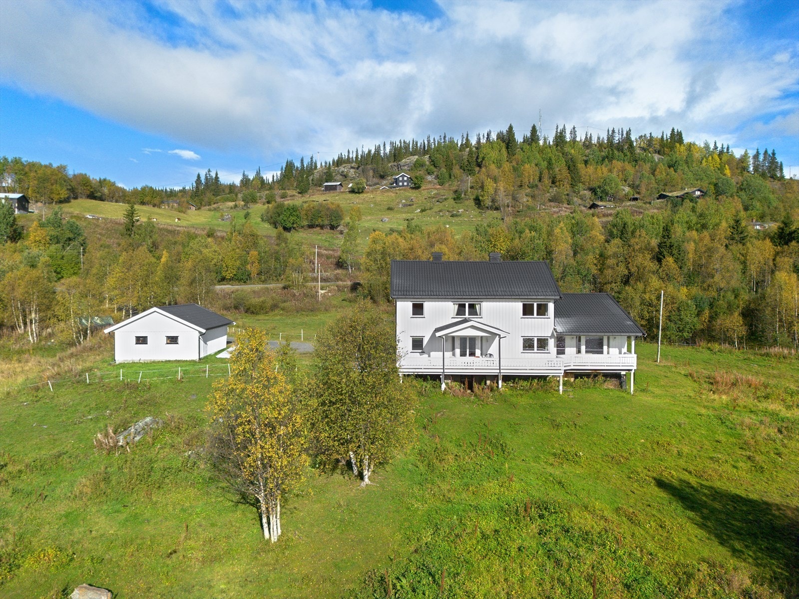 Velkommen til en hyggelig visning! Galleribilde