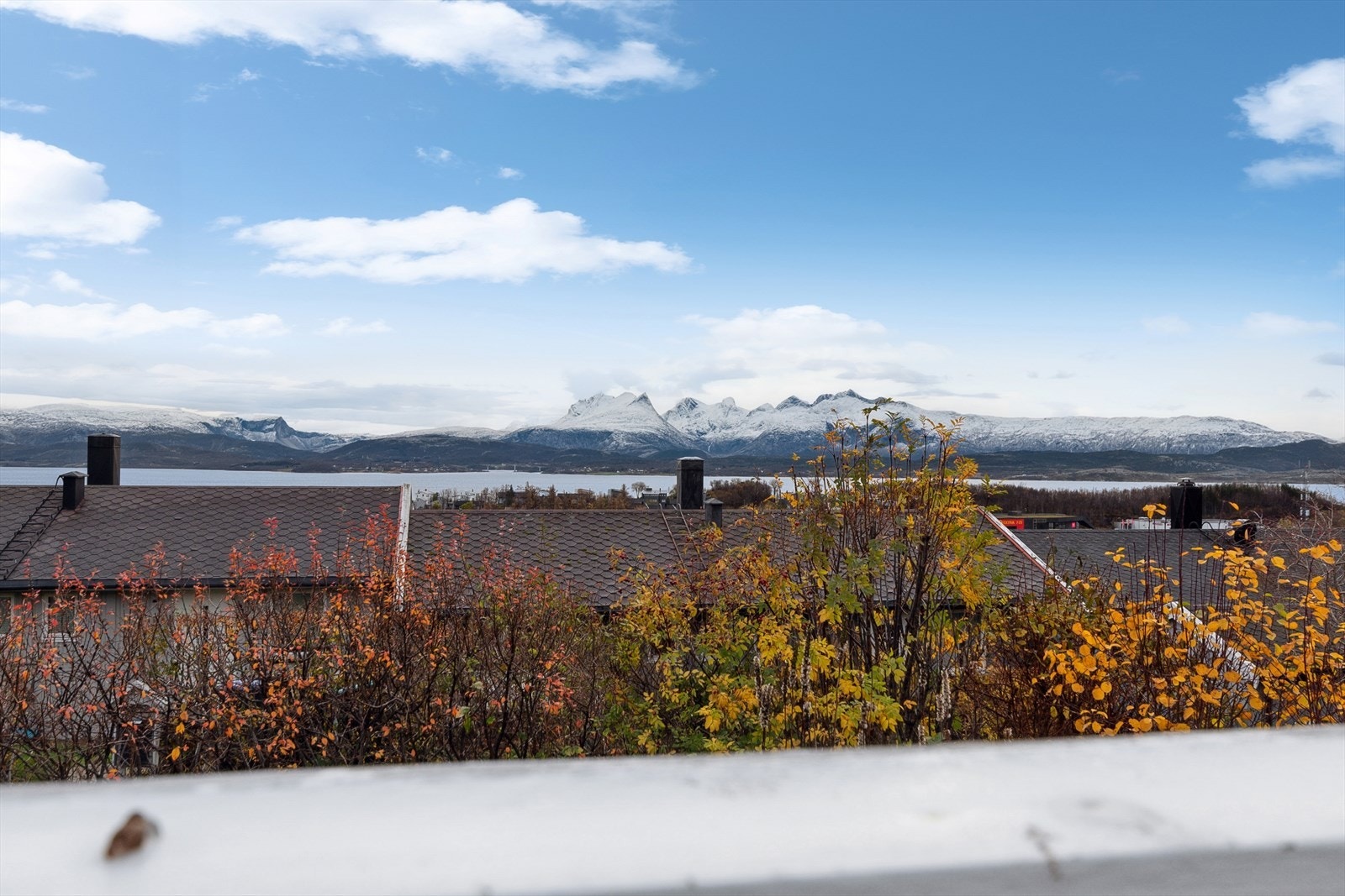 Utsikten fra stuevinduene Galleribilde