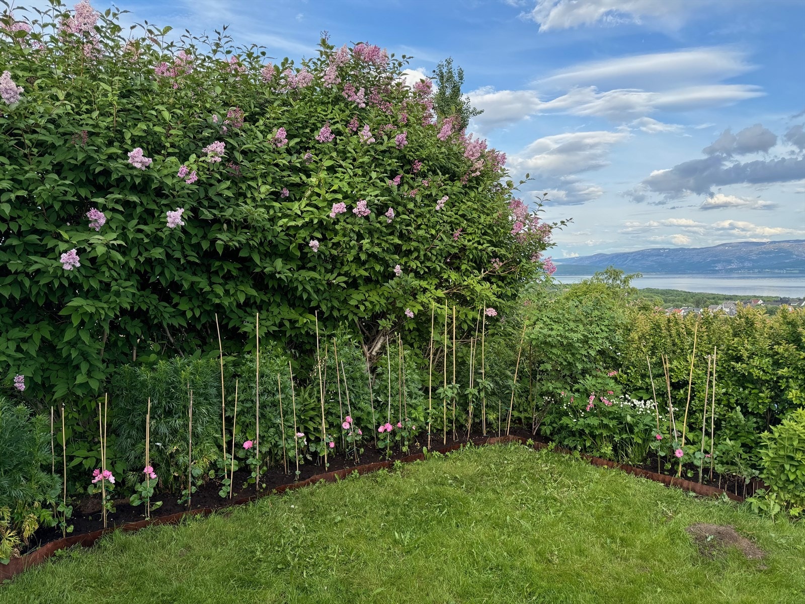 Frodig og skjermet hage. Her kan du nyte varme sommerdager Galleribilde