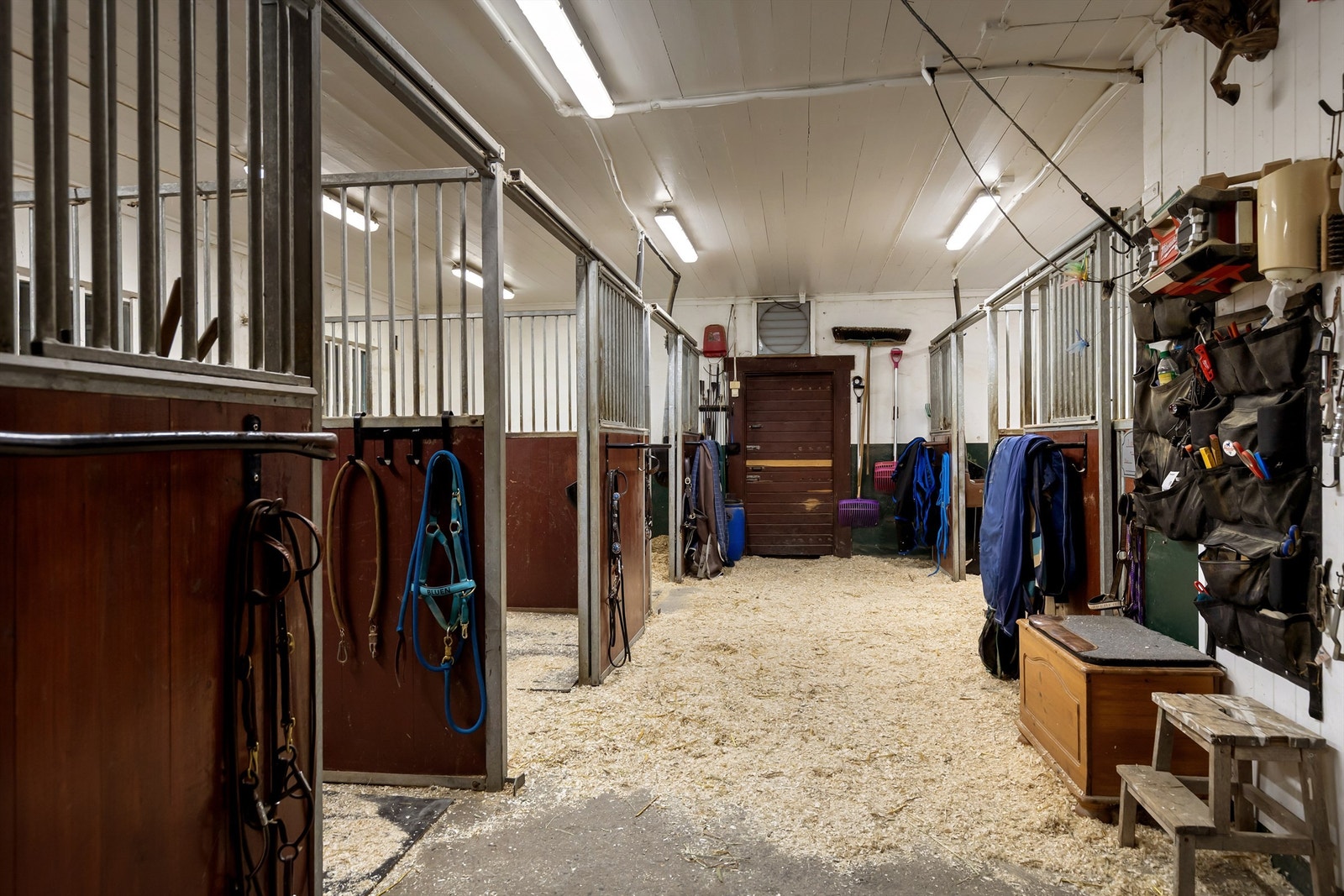 Nabo har en hyggelig stall hvor man kan leie plass. Galleribilde