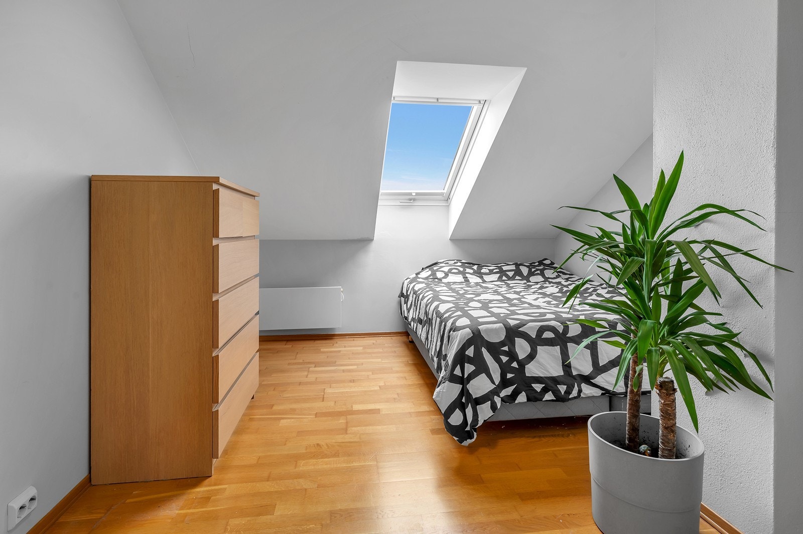 I takvindu er det plisè. Galleribilde