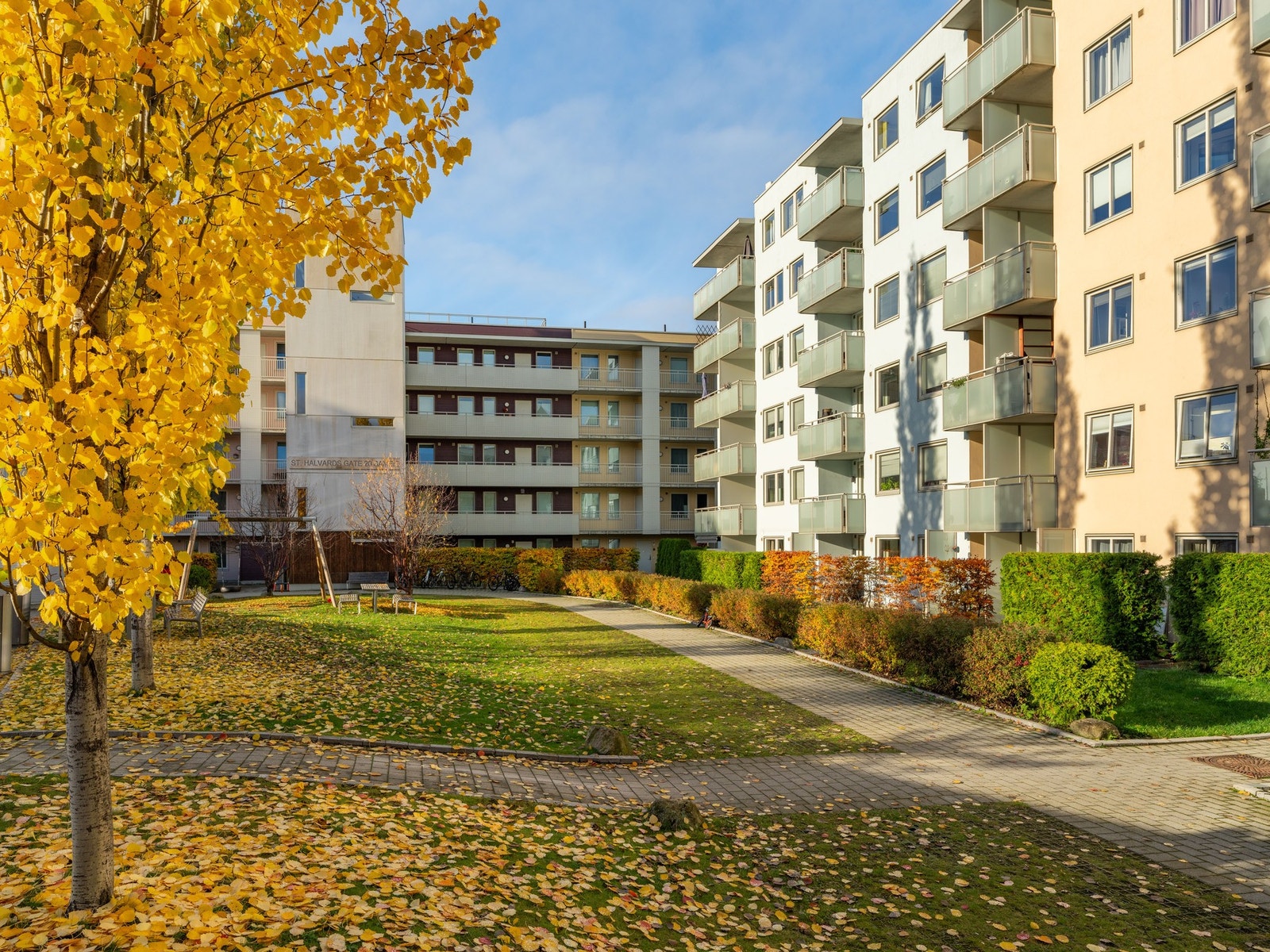 I tillegg til et stort og frodig bakgårdsrom, har du som beboer i sameiet tilgang to takterrasser. Luksus! Galleribilde