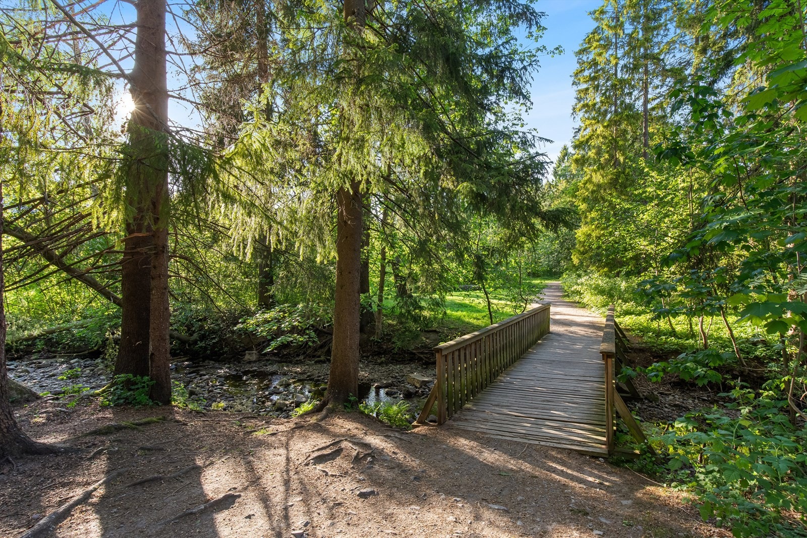 Flott turvei i umiddelbar nærhet. Galleribilde