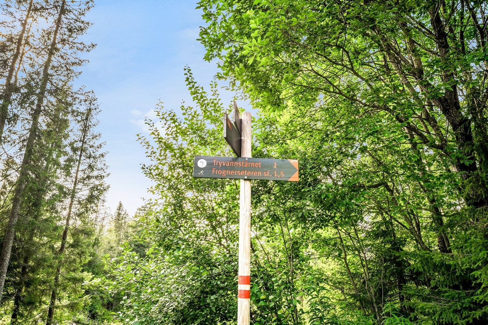 Det finnes et utall av flotte tur- og rekrasjonsmuligheter i området. Galleribilde