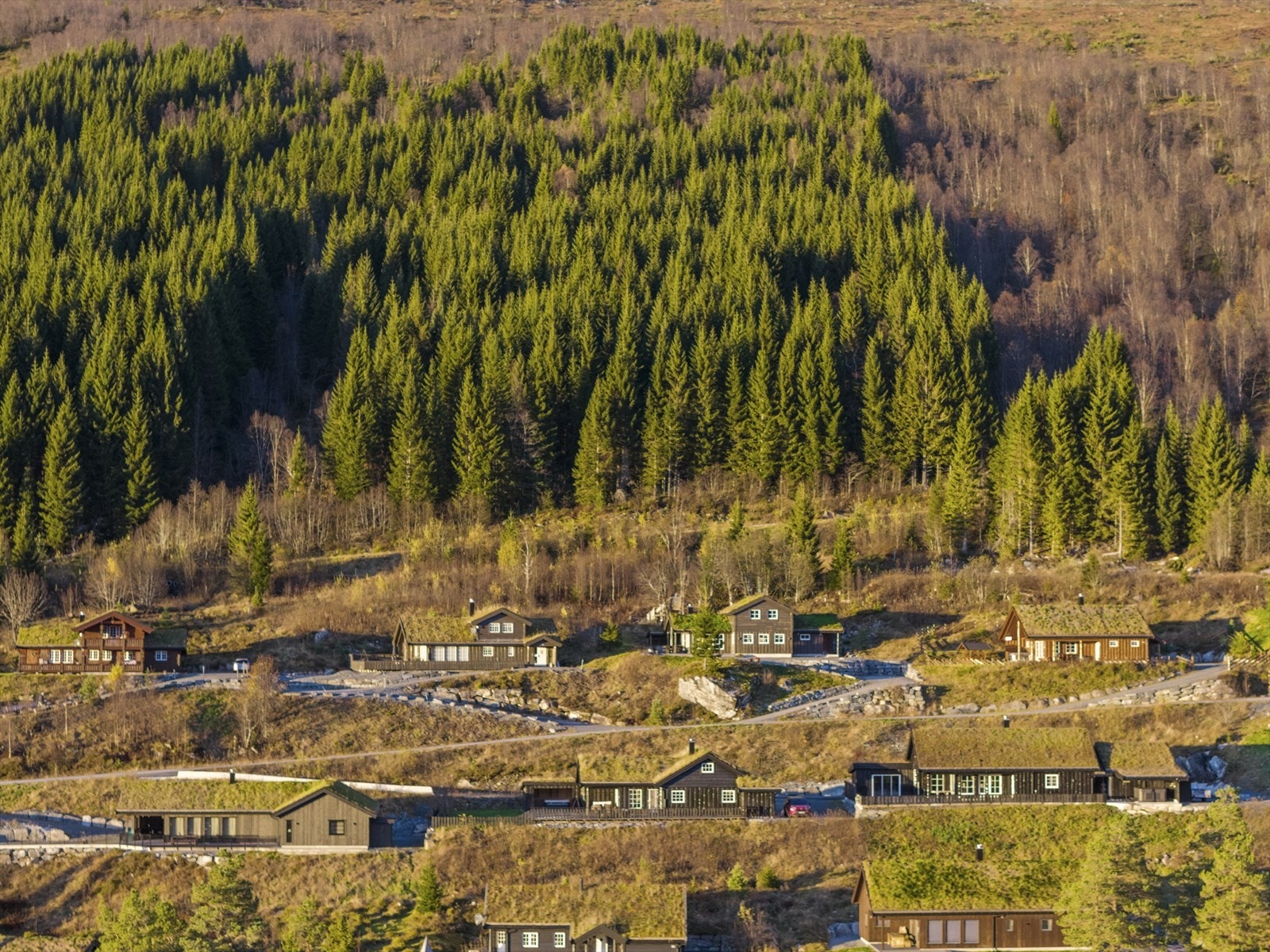 DJI_20251030154732_0811_D.jpg Galleribilde