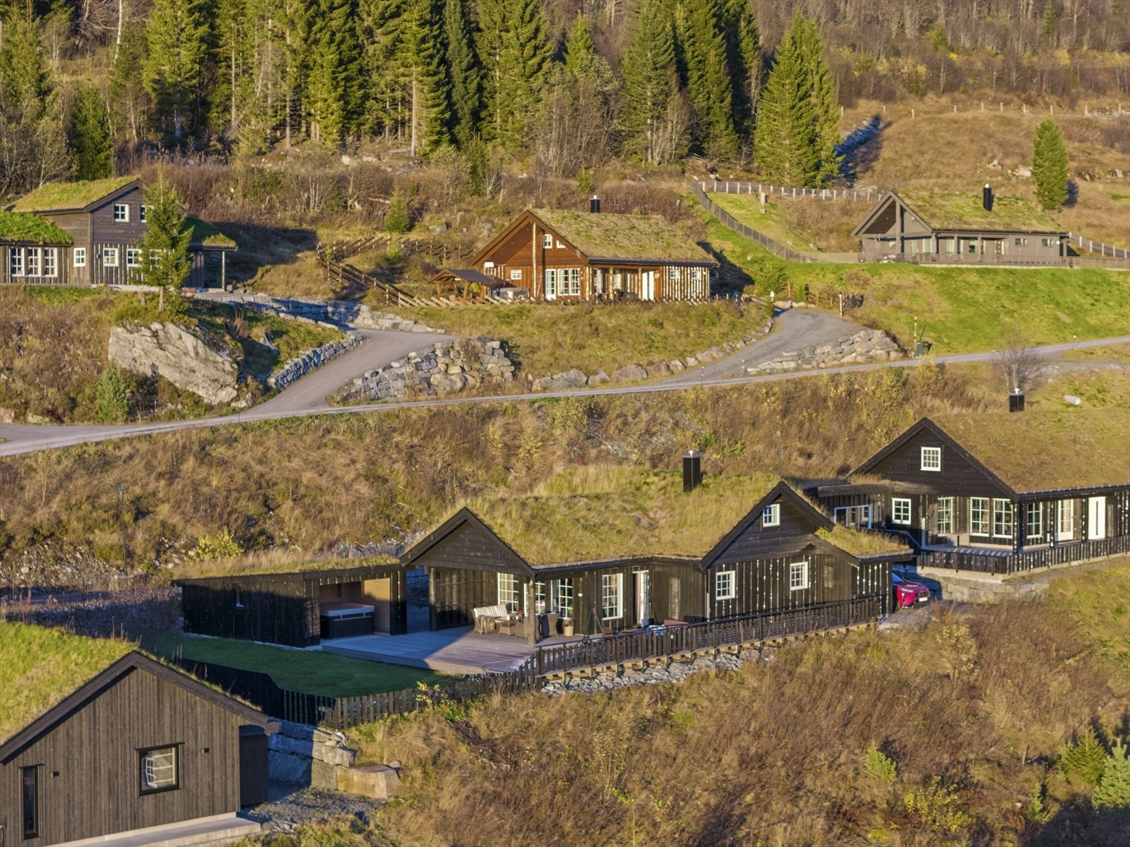 Nærområde Galleribilde