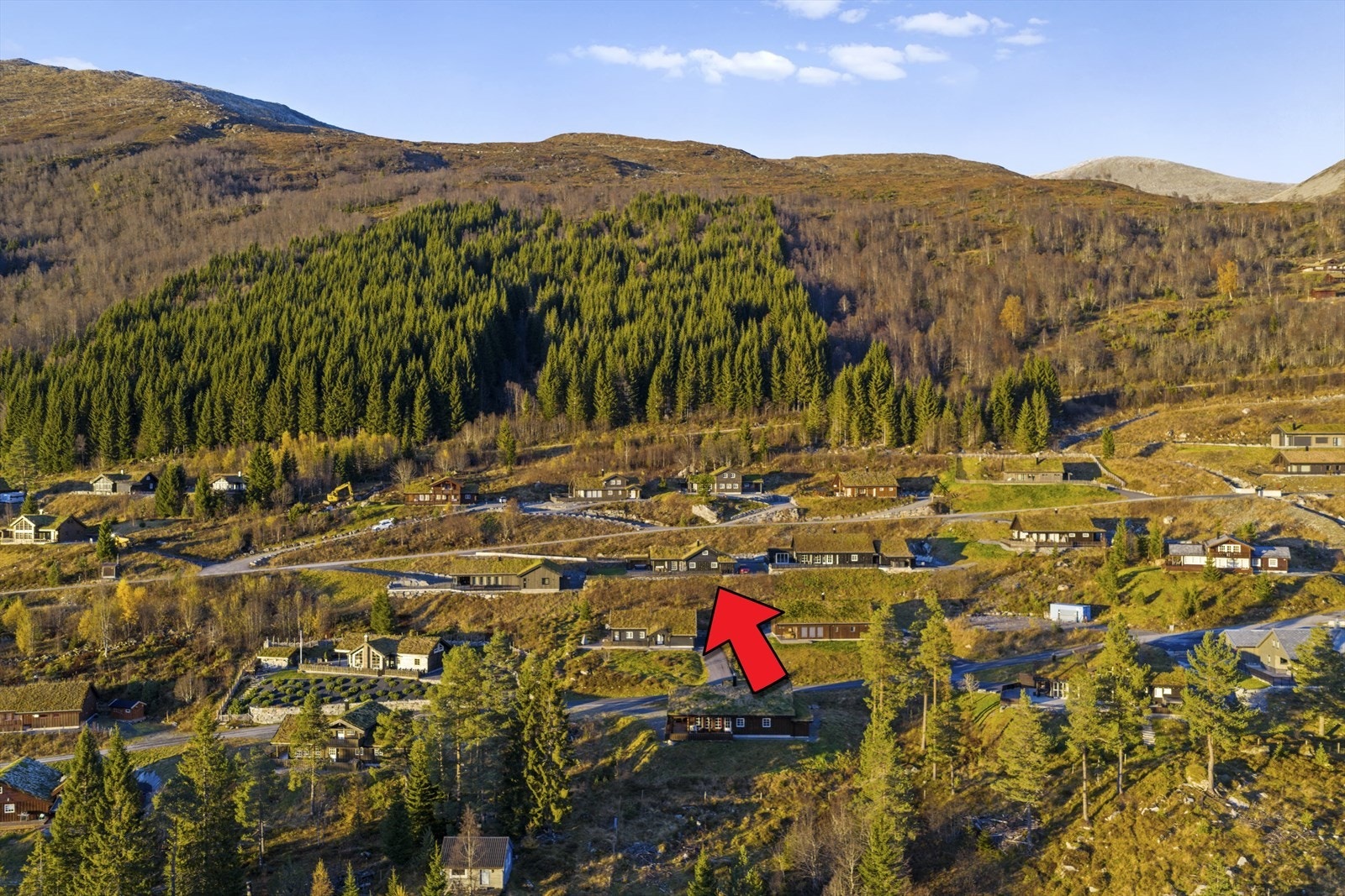 Nærområde Galleribilde