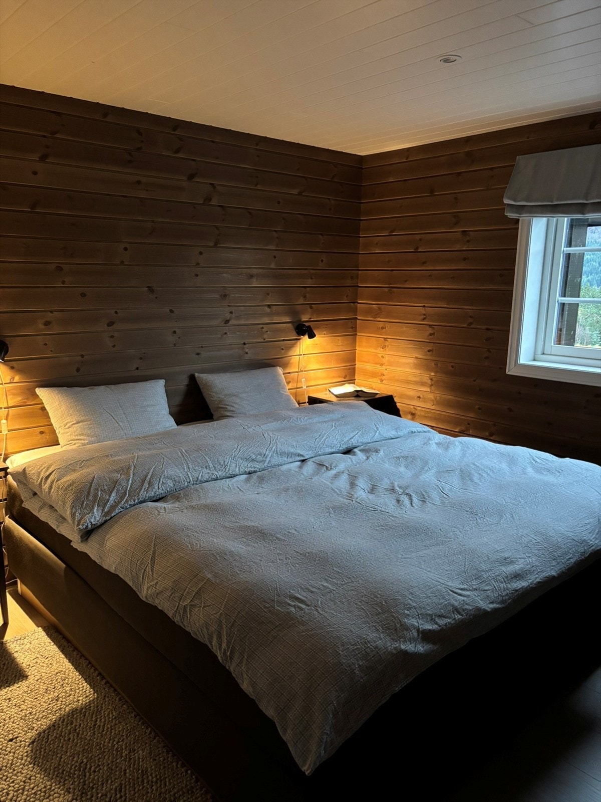 Snart natta Galleribilde